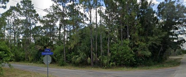 300 Ludlow Avenue Lehigh Acres, FL 33972 - Photo 4 of 7 a flag is sitting in the middle of a forest