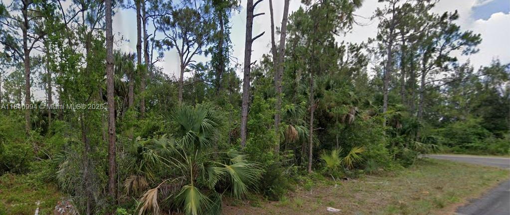 300 Ludlow Avenue Lehigh Acres, FL 33972 - Photo 7 of 7 a view of a forest with a tree