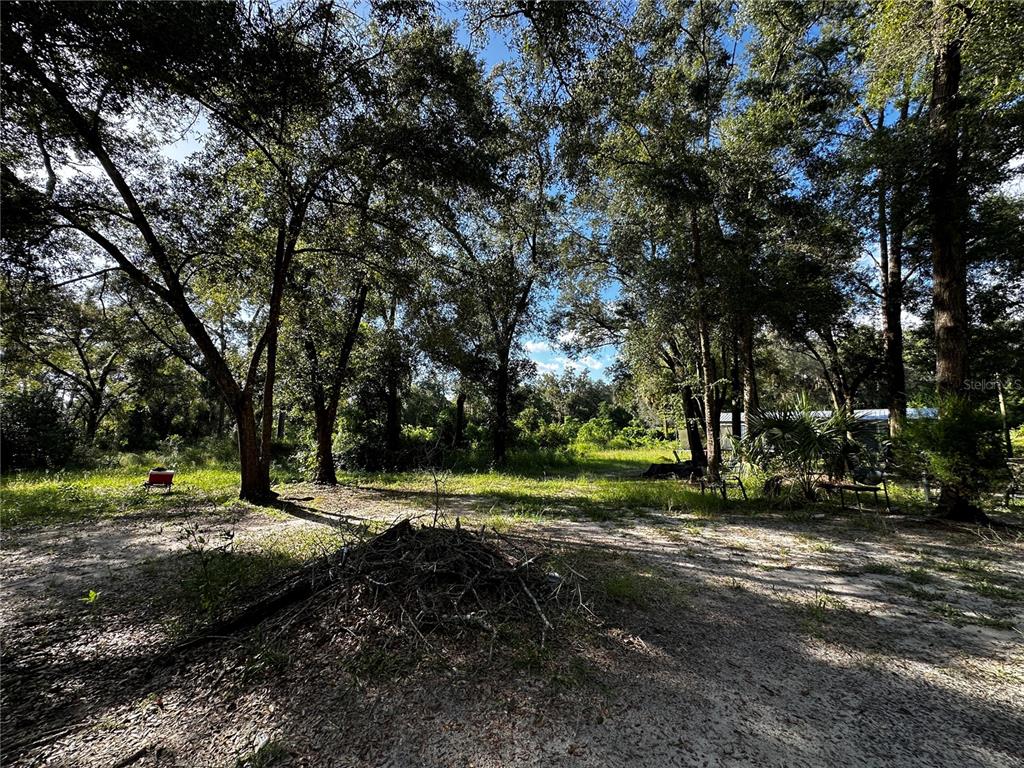 418 North Pine Street Bronson, FL 32621 - Photo 51 of 61 Gallery Image 51