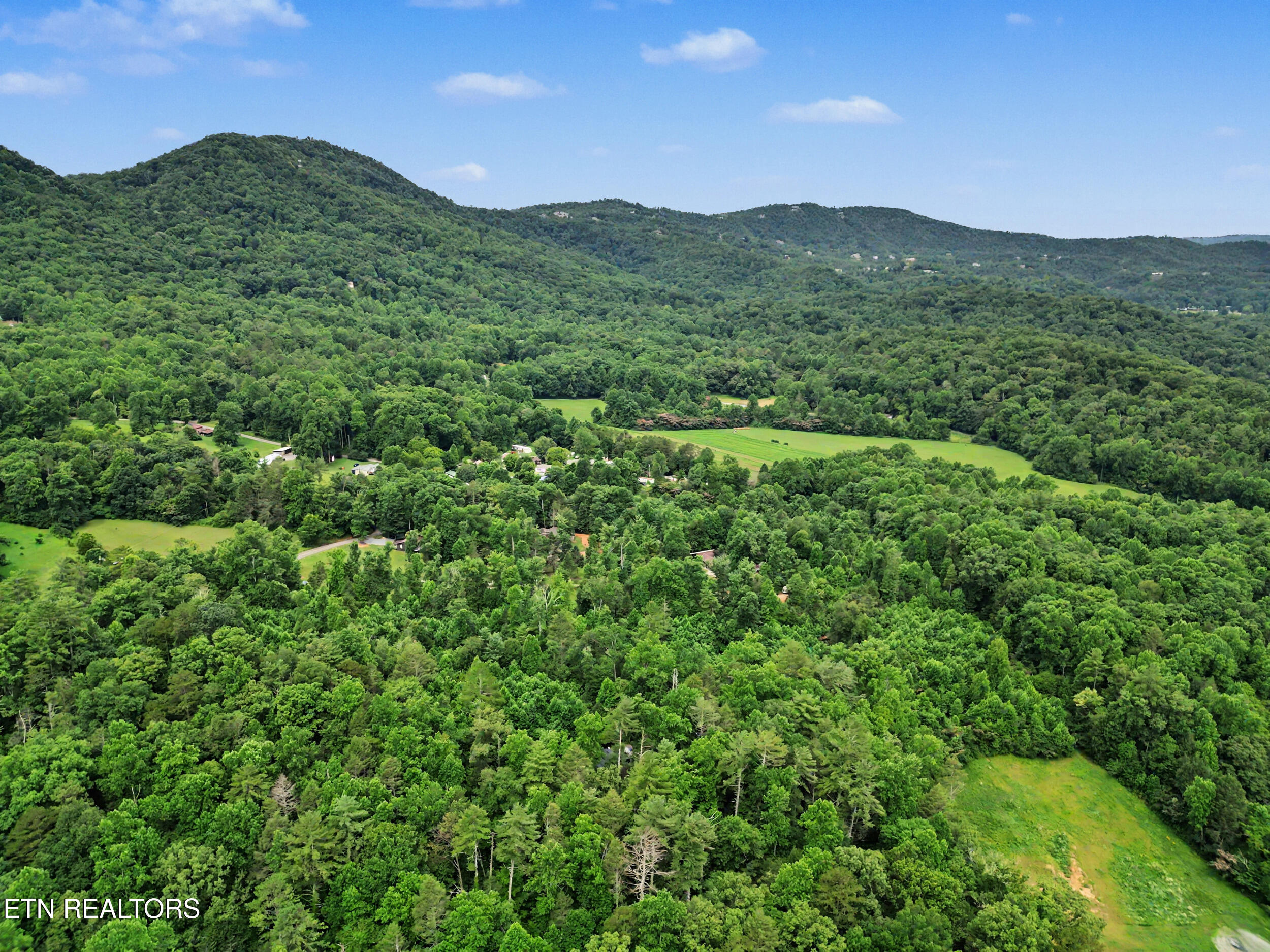 1006 Dry Valley Road Townsend, TN 37882 - Photo 45 of 54 44_dji_0060