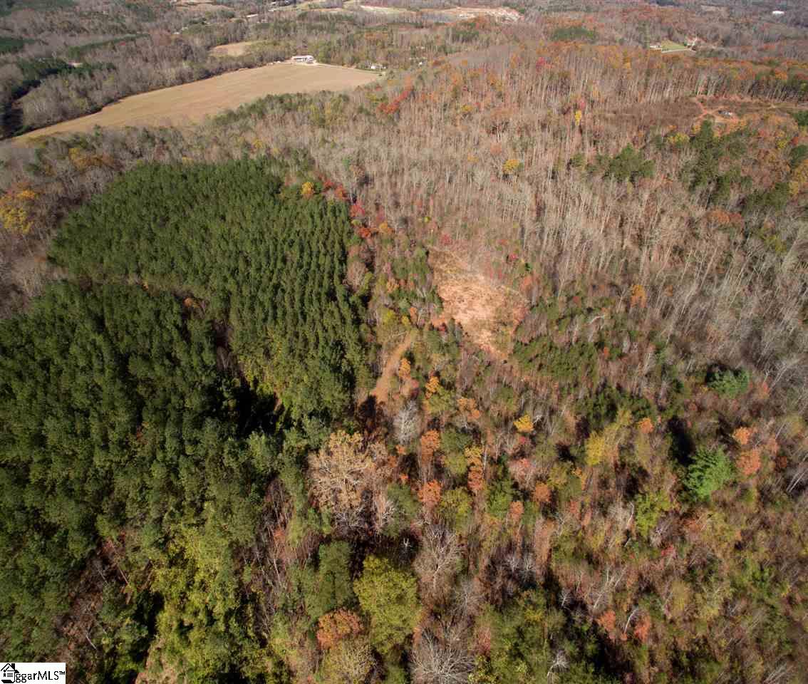 1002 Goodwin Bridge Road Travelers Rest, SC 29690 - Photo 1 of 22