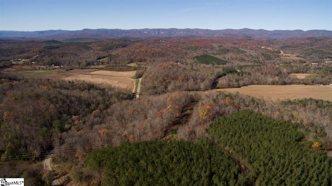 1002 Goodwin Bridge Road Travelers Rest, SC 29690 - Photo 2 of 22