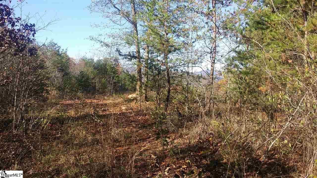1002 Goodwin Bridge Road Travelers Rest, SC 29690 - Photo 11 of 22
