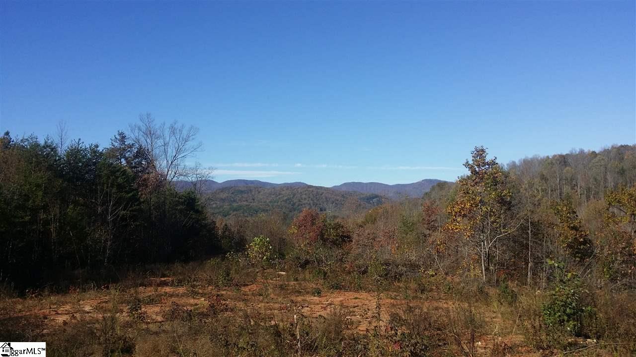 1002 Goodwin Bridge Road Travelers Rest, SC 29690 - Photo 12 of 22