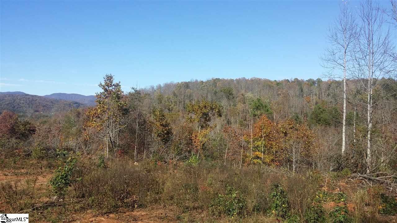 1002 Goodwin Bridge Road Travelers Rest, SC 29690 - Photo 13 of 22