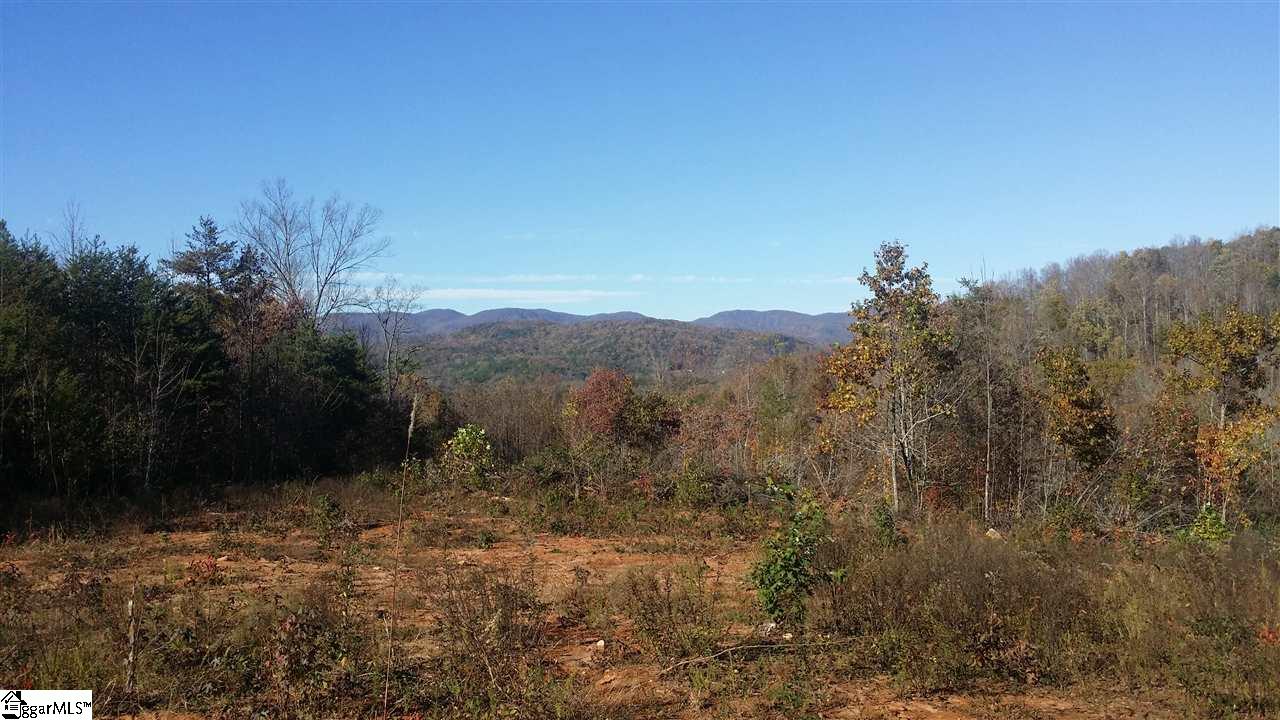 1002 Goodwin Bridge Road Travelers Rest, SC 29690 - Photo 14 of 22