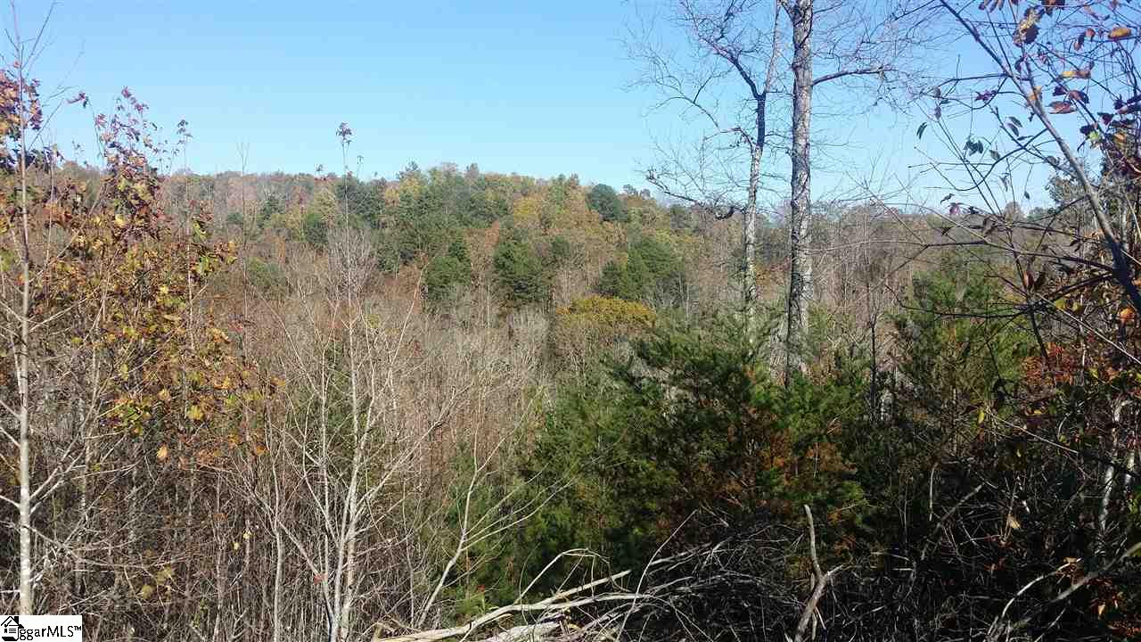 1002 Goodwin Bridge Road Travelers Rest, SC 29690 - Photo 15 of 22