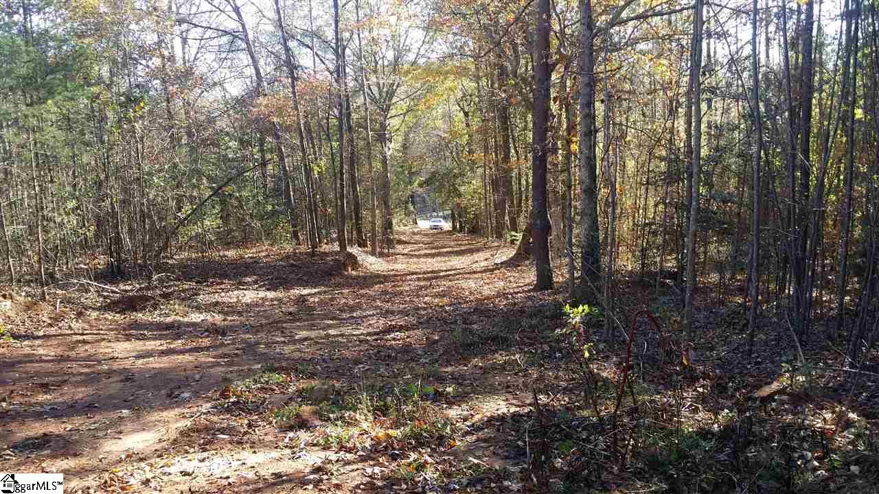 1002 Goodwin Bridge Road Travelers Rest, SC 29690 - Photo 17 of 22