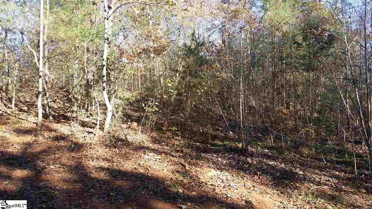 1002 Goodwin Bridge Road Travelers Rest, SC 29690 - Photo 18 of 22