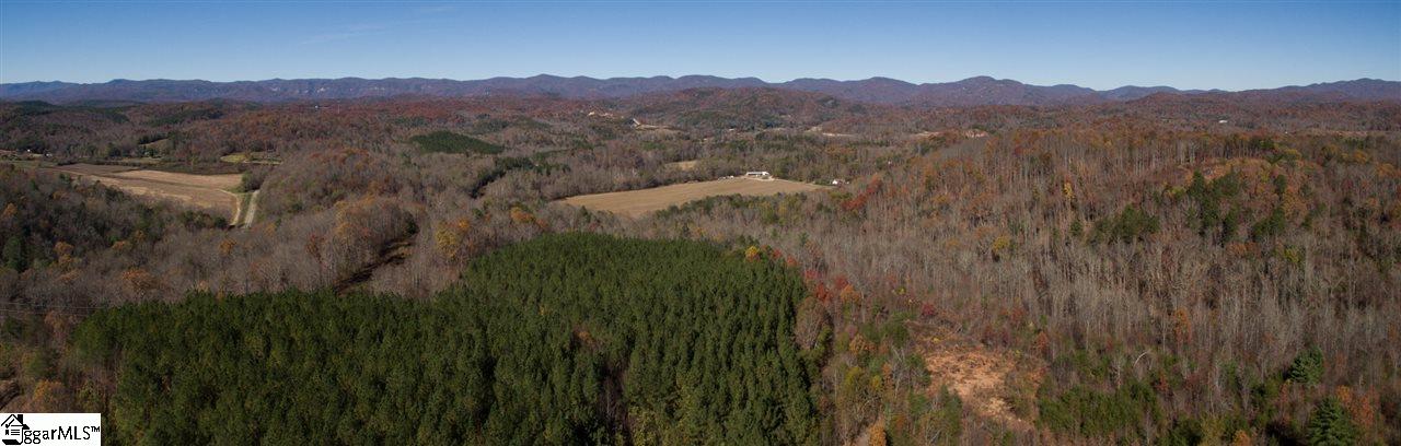 1002 Goodwin Bridge Road Travelers Rest, SC 29690 - Photo 19 of 22