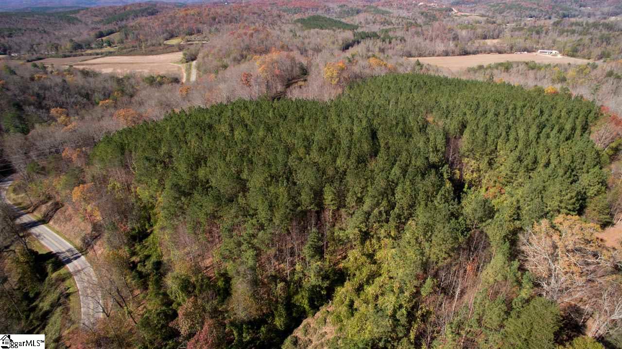 1002 Goodwin Bridge Road Travelers Rest, SC 29690 - Photo 3 of 22