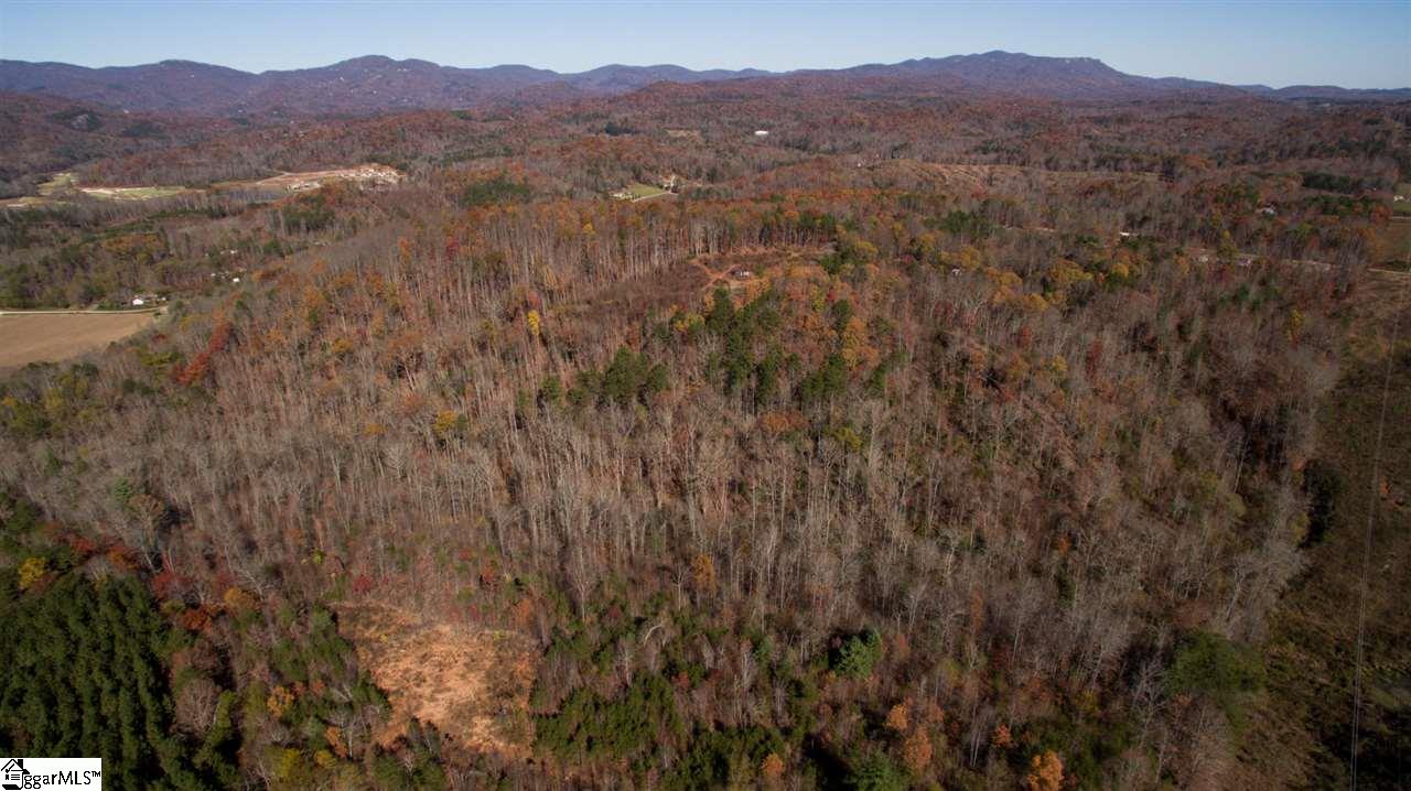 1002 Goodwin Bridge Road Travelers Rest, SC 29690 - Photo 22 of 22