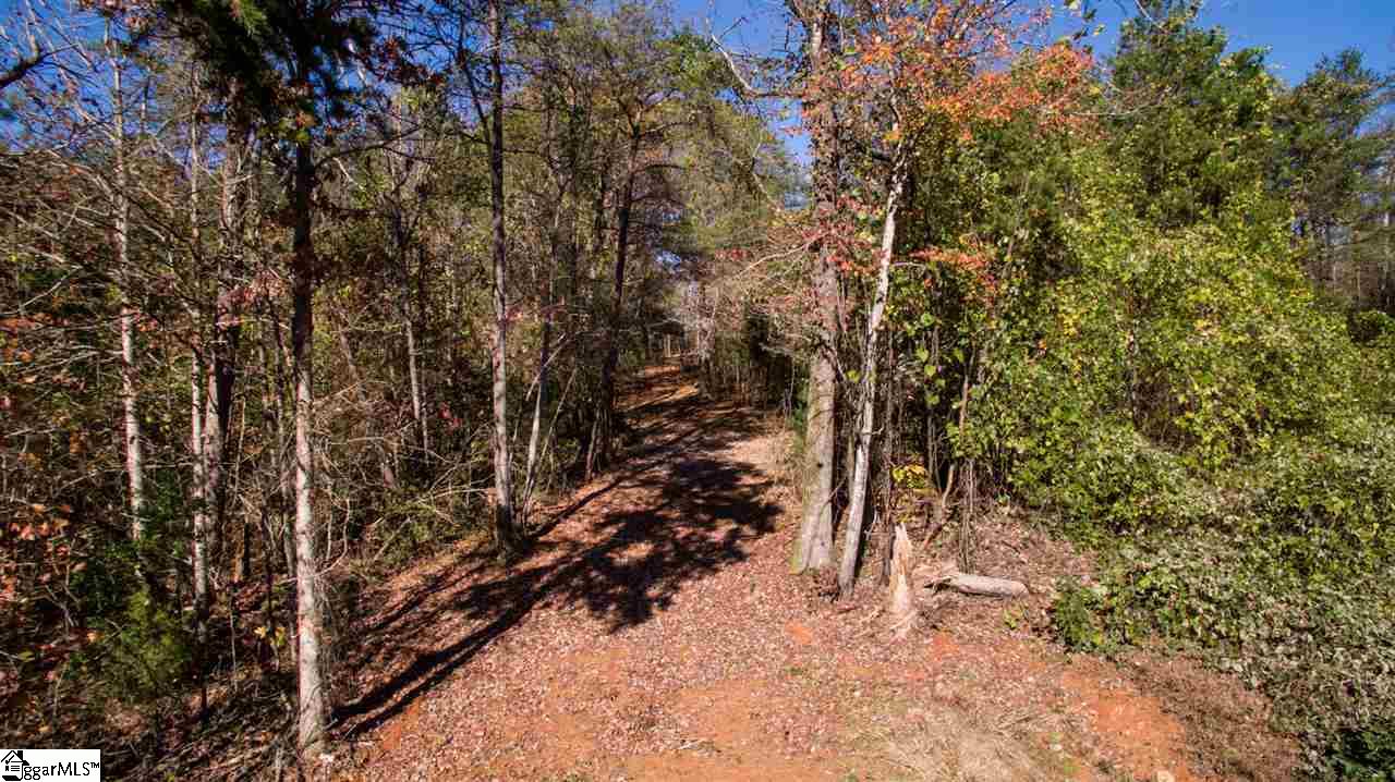 1002 Goodwin Bridge Road Travelers Rest, SC 29690 - Photo 5 of 22