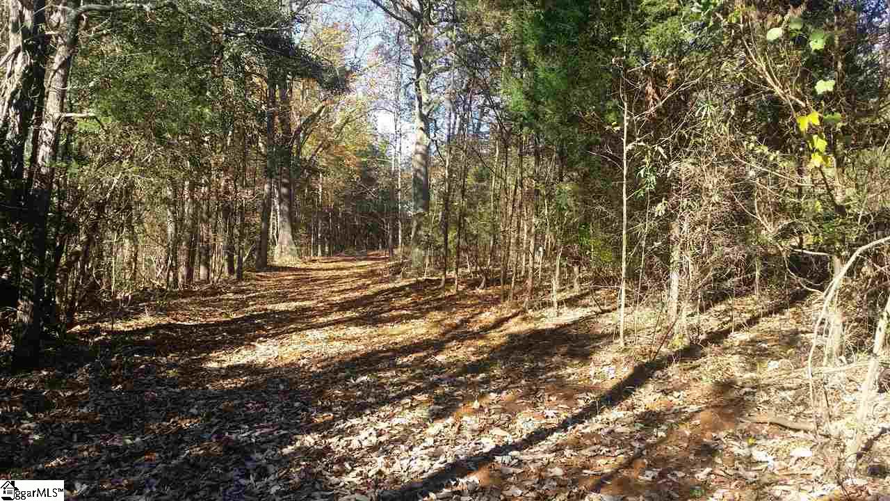 1002 Goodwin Bridge Road Travelers Rest, SC 29690 - Photo 6 of 22