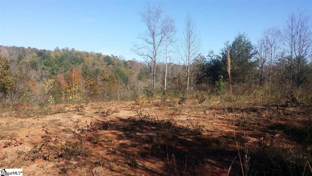1002 Goodwin Bridge Road Travelers Rest, SC 29690 - Photo 7 of 22