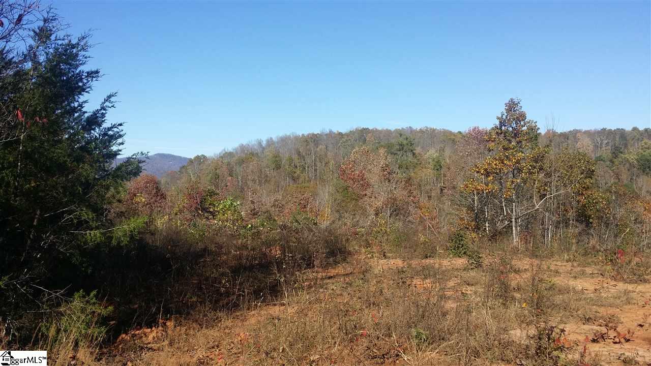1002 Goodwin Bridge Road Travelers Rest, SC 29690 - Photo 8 of 22