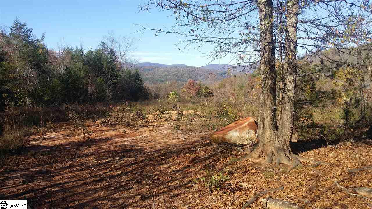 1002 Goodwin Bridge Road Travelers Rest, SC 29690 - Photo 10 of 22