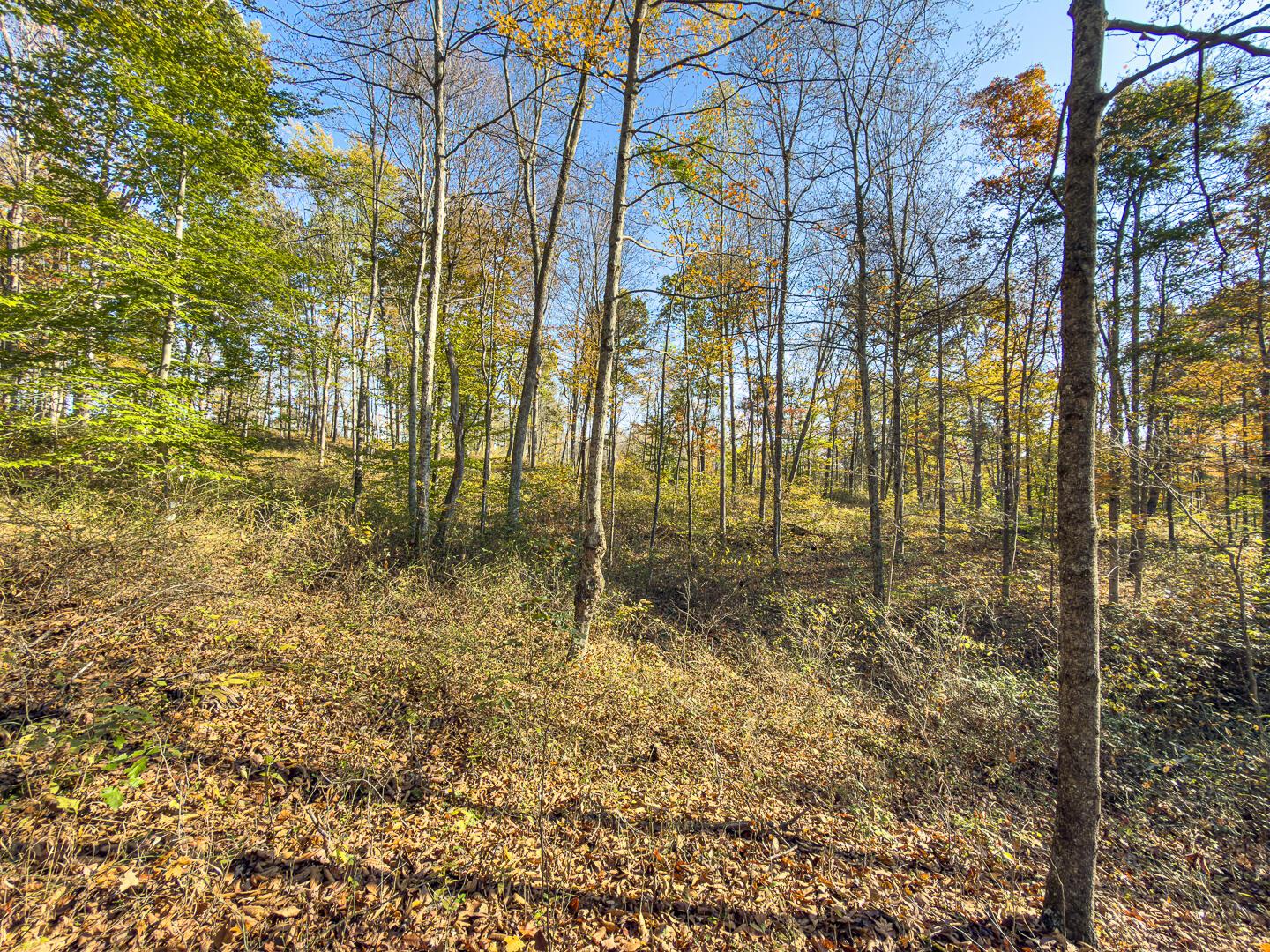 0 Chase Road Albany, OH 45710 - Photo 24 of 37 Chase Rd-24