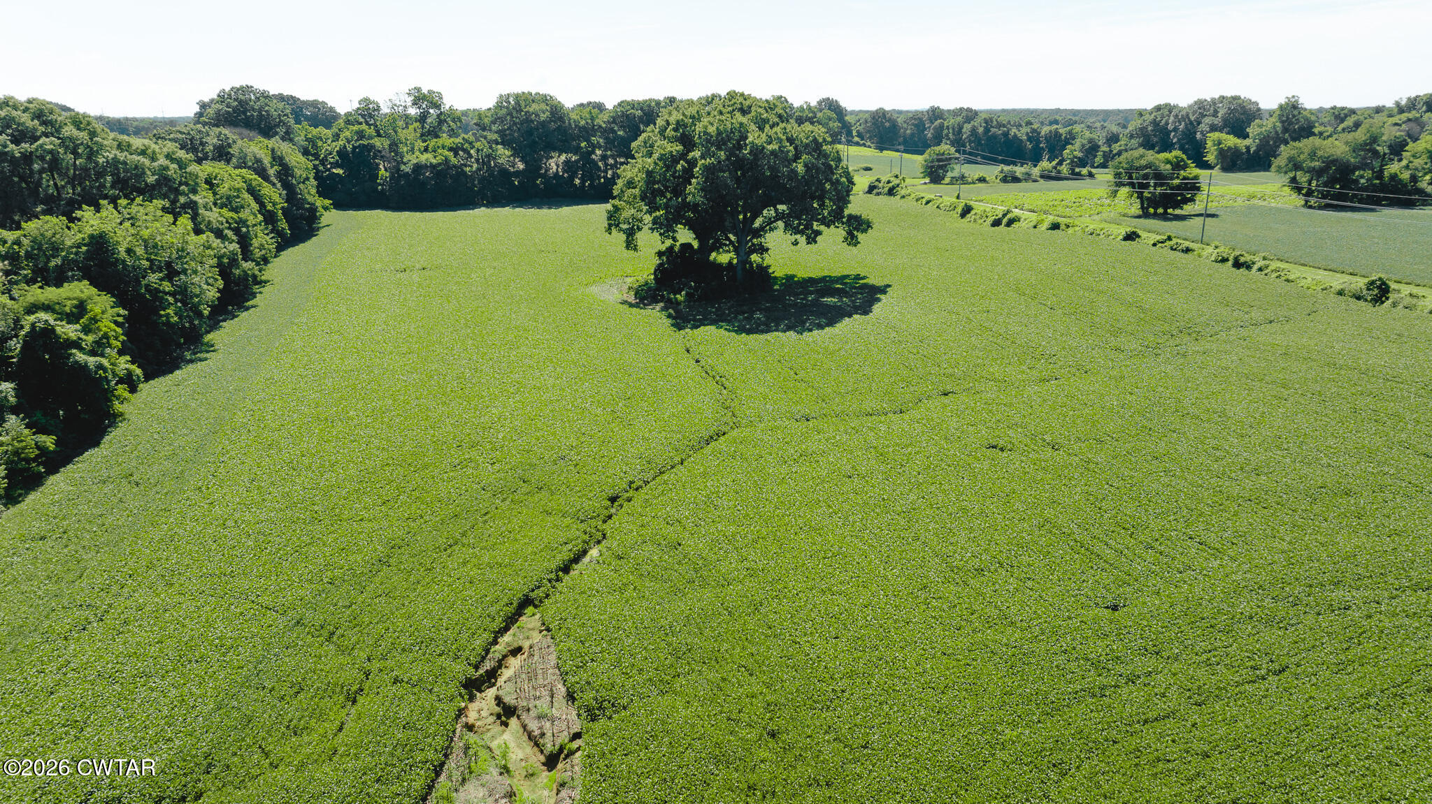 0 Oakshire Road Union City, TN 38261 - Photo 15 of 19 DJI_20260614170302_0013_D