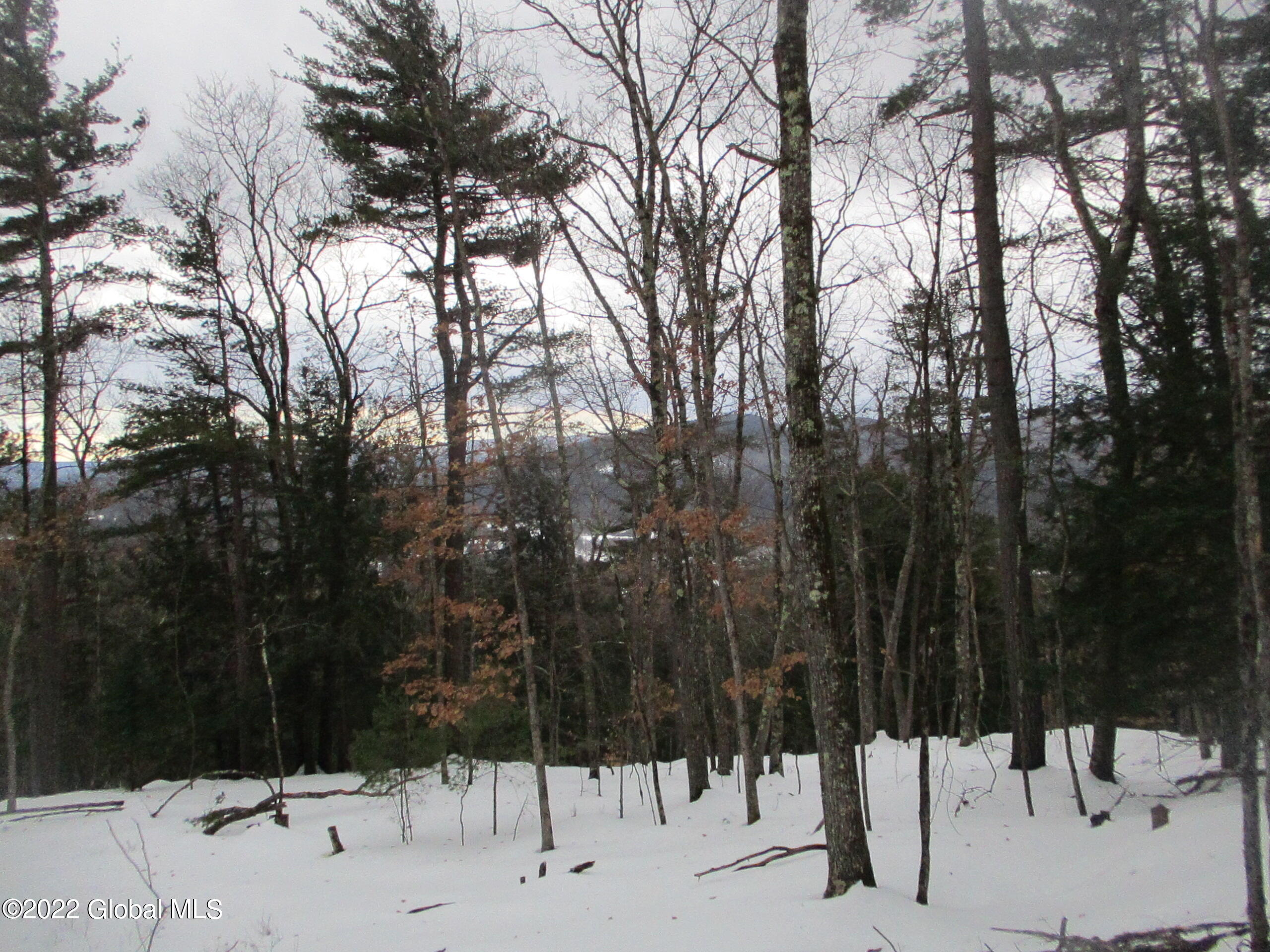 0 River Road Lake Luzerne, NY 12846 - Photo 12 of 32 31 Hudson River and Mountains in Hadley