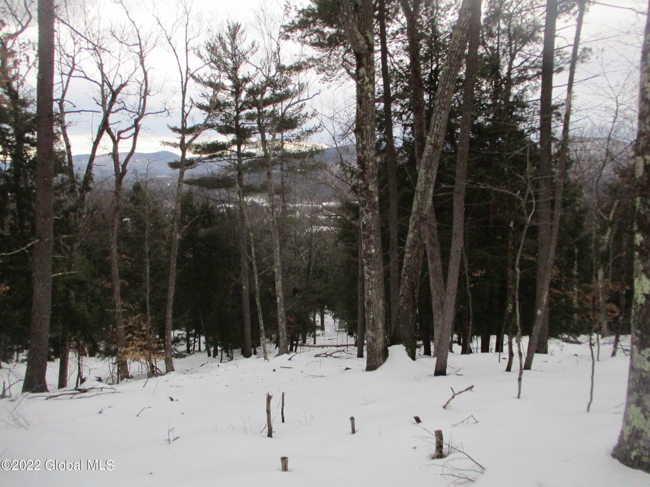 0 River Road Lake Luzerne, NY 12846 - Photo 13 of 32 32 2014 Thinning