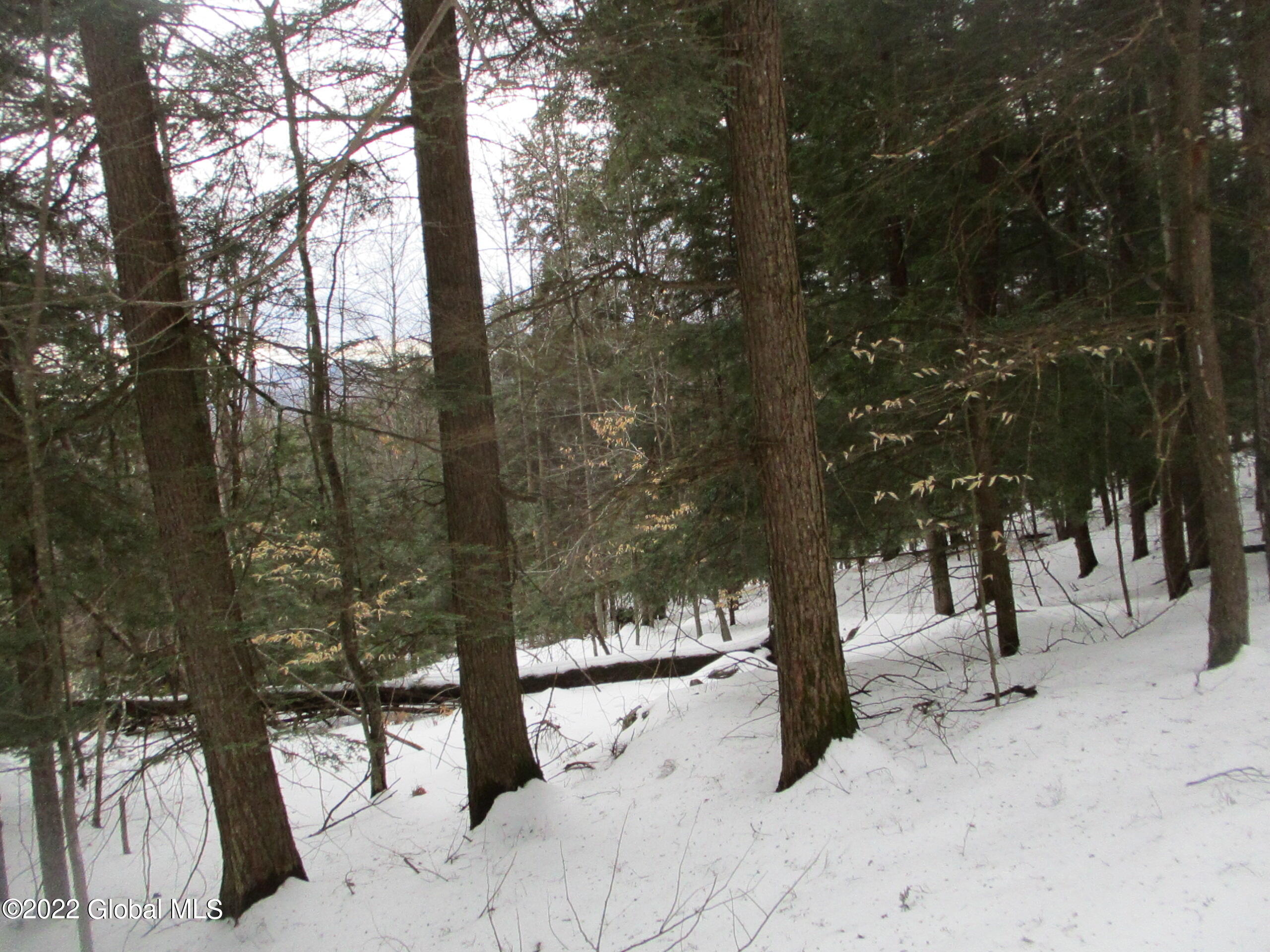0 River Road Lake Luzerne, NY 12846 - Photo 14 of 32 33 Mature Hemlock