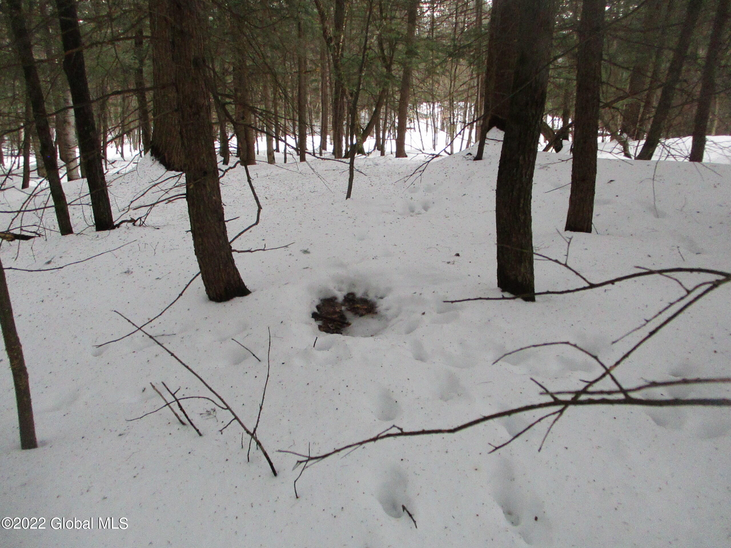 0 River Road Lake Luzerne, NY 12846 - Photo 15 of 32 26 Deer Bed on Coman Mountain