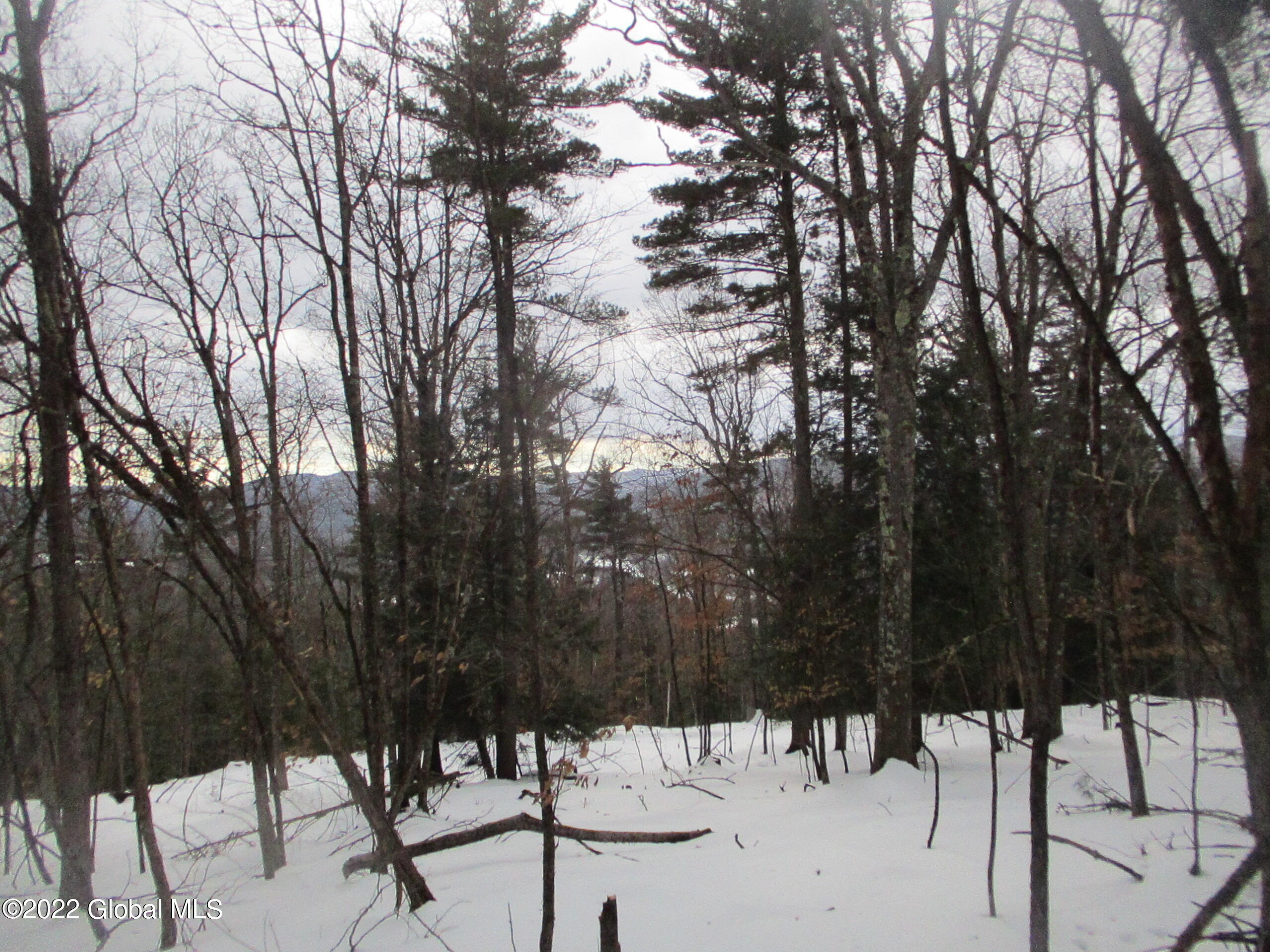 0 River Road Lake Luzerne, NY 12846 - Photo 16 of 32 27 Obscured View of Hudson River