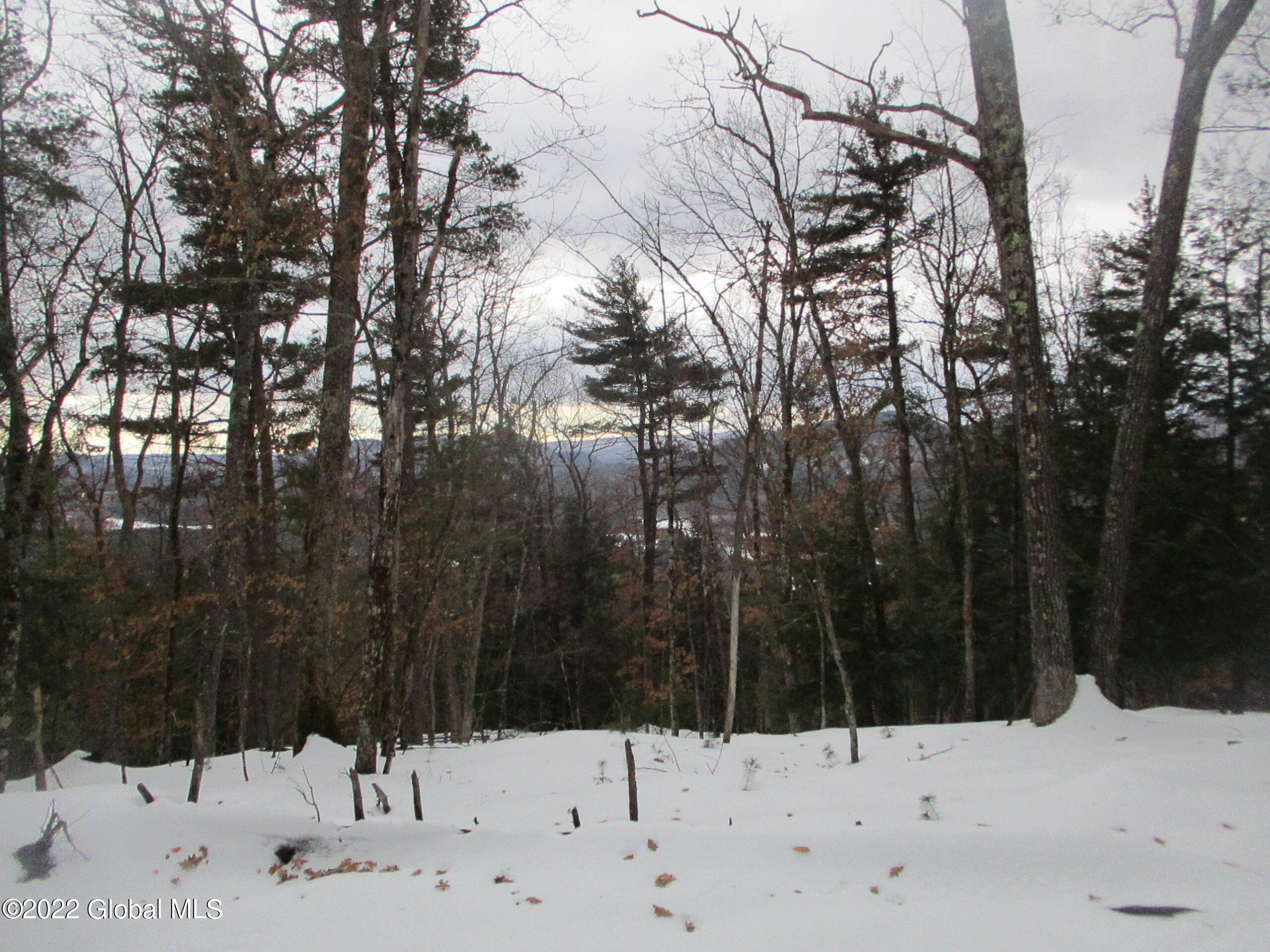 0 River Road Lake Luzerne, NY 12846 - Photo 17 of 32 28 Obscured View of Hudson River