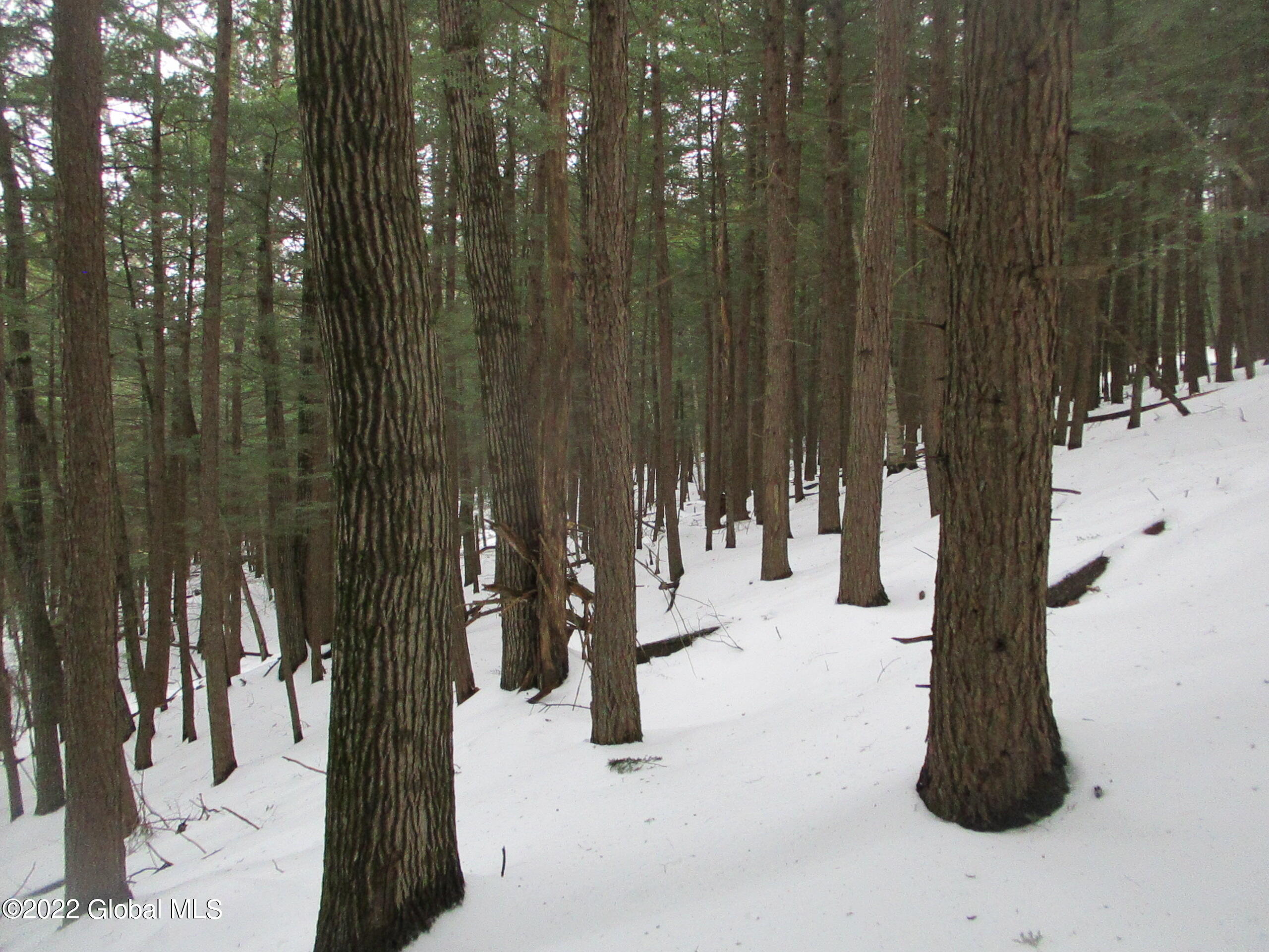 0 River Road Lake Luzerne, NY 12846 - Photo 26 of 32 23 Red Oak & Hemlock