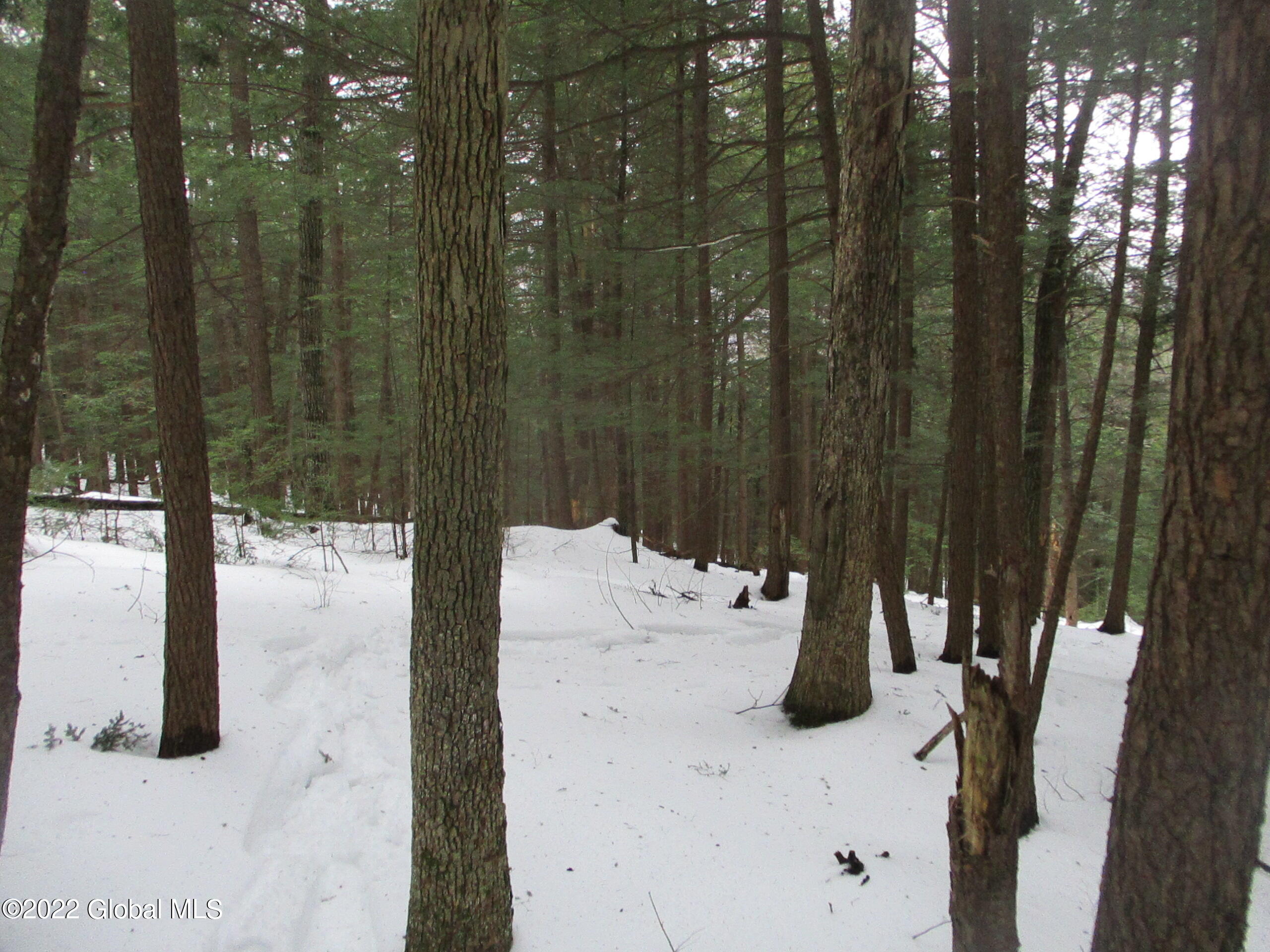 0 River Road Lake Luzerne, NY 12846 - Photo 27 of 32 24 White Oak & Hemlock