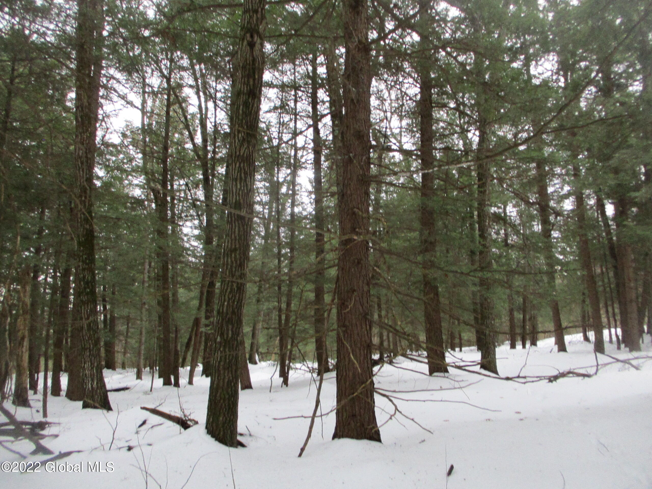 0 River Road Lake Luzerne, NY 12846 - Photo 28 of 32 25 Red Oak & Hemlock