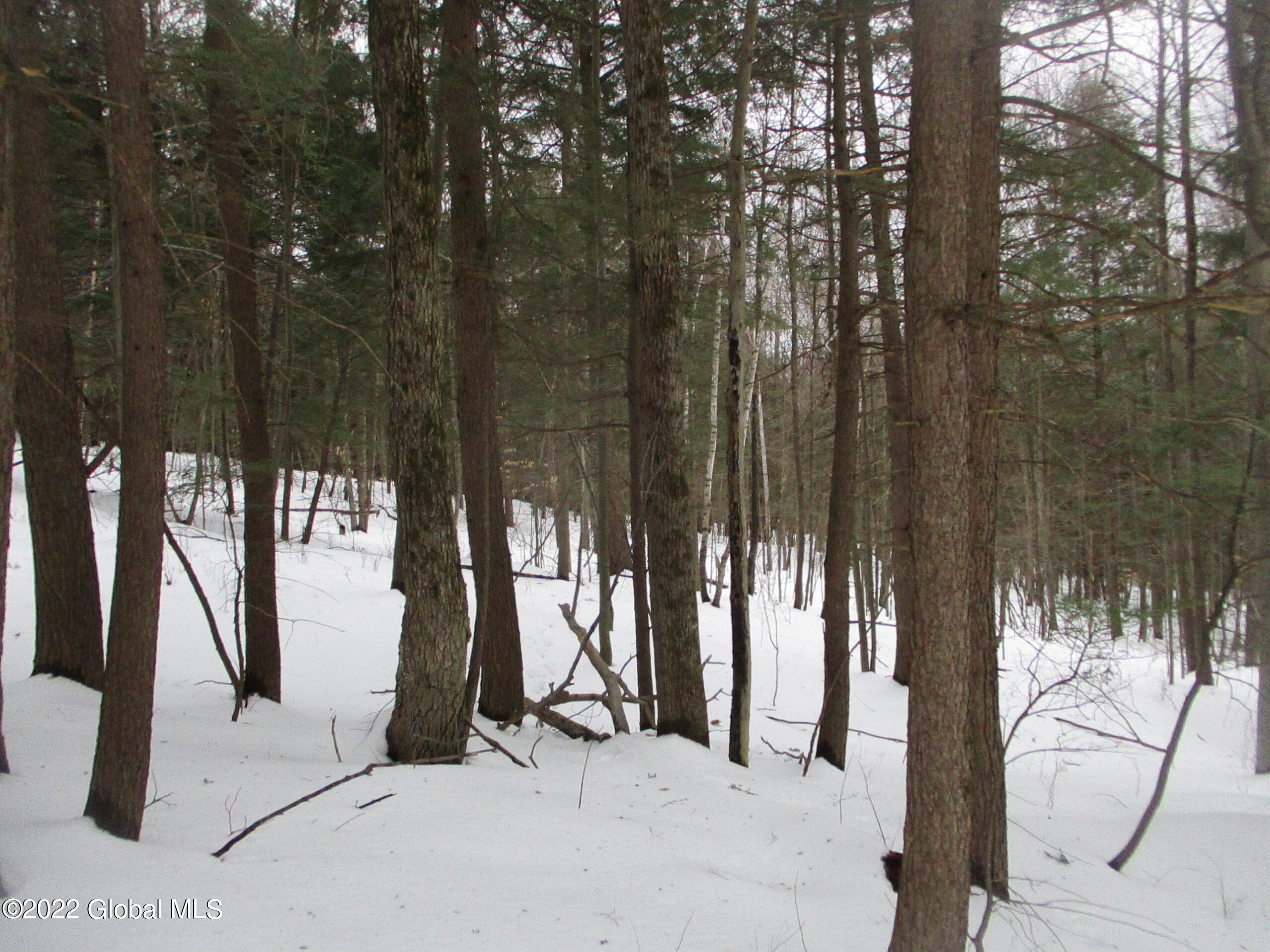 0 River Road Lake Luzerne, NY 12846 - Photo 30 of 32 21 Maple & Hemlock
