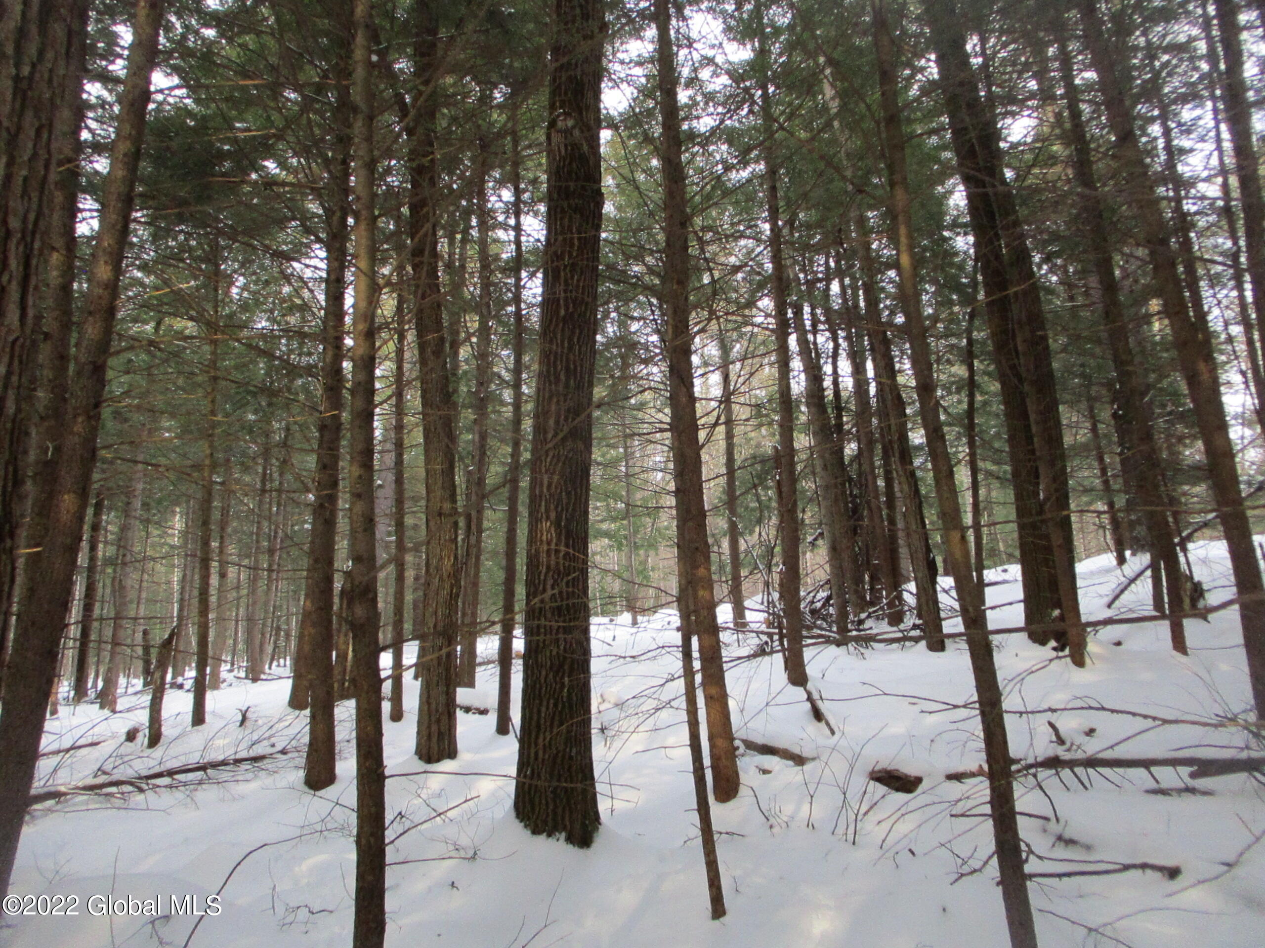 0 River Road Lake Luzerne, NY 12846 - Photo 3 of 32 04 Red Oak