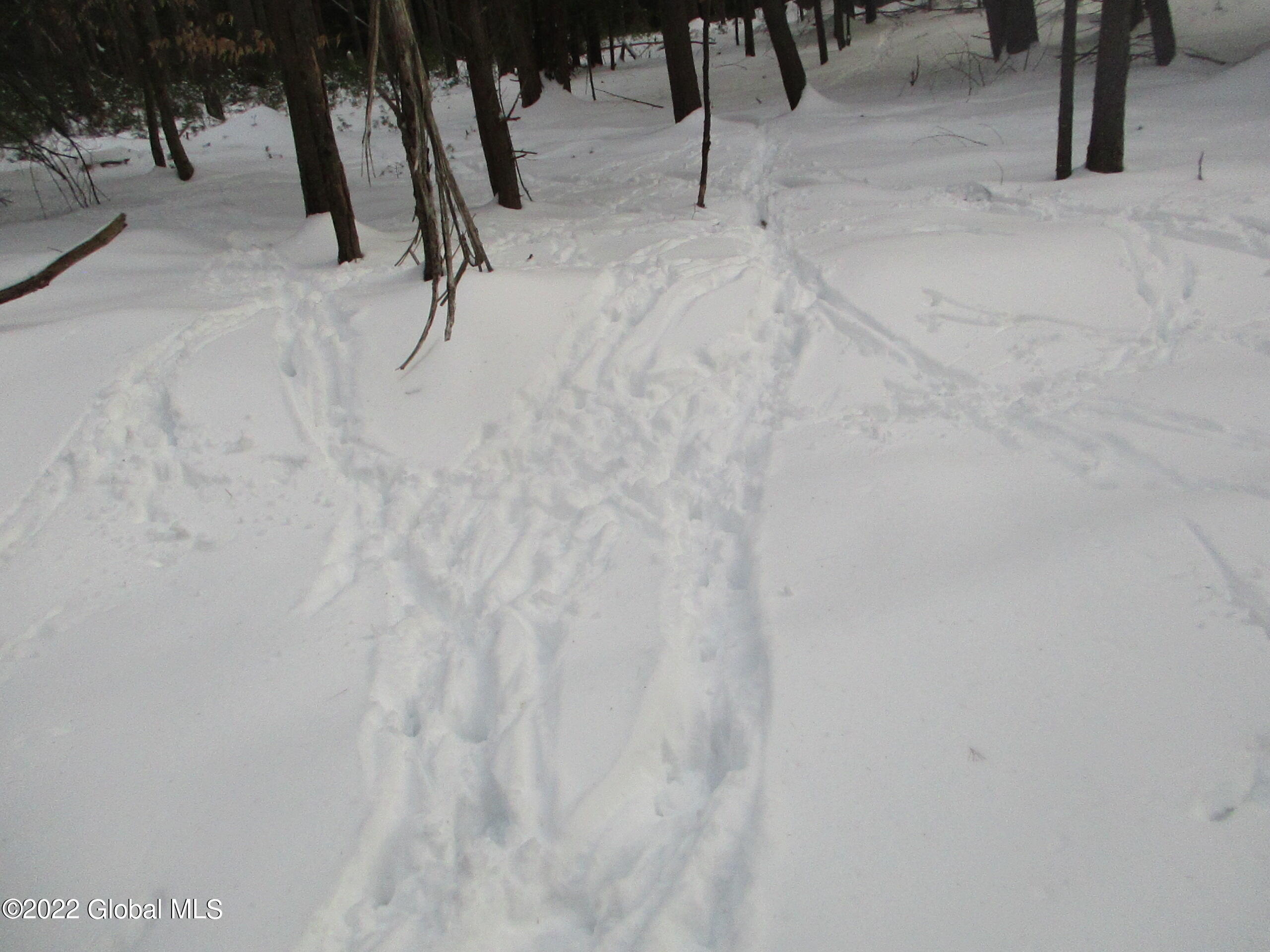 0 River Road Lake Luzerne, NY 12846 - Photo 32 of 32 13 Abundant Deer Population