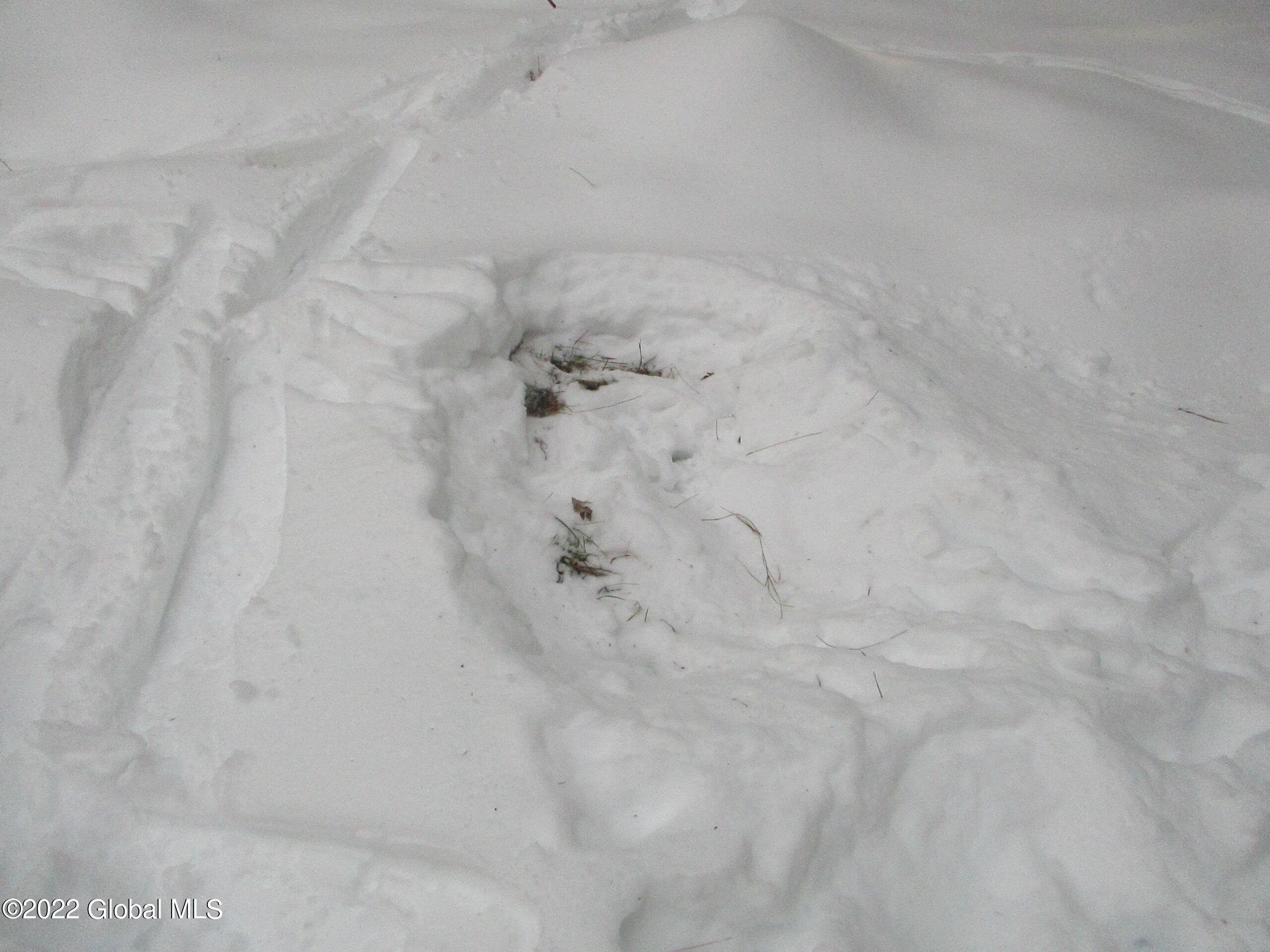 0 River Road Lake Luzerne, NY 12846 - Photo 4 of 32 06 Deer Bed