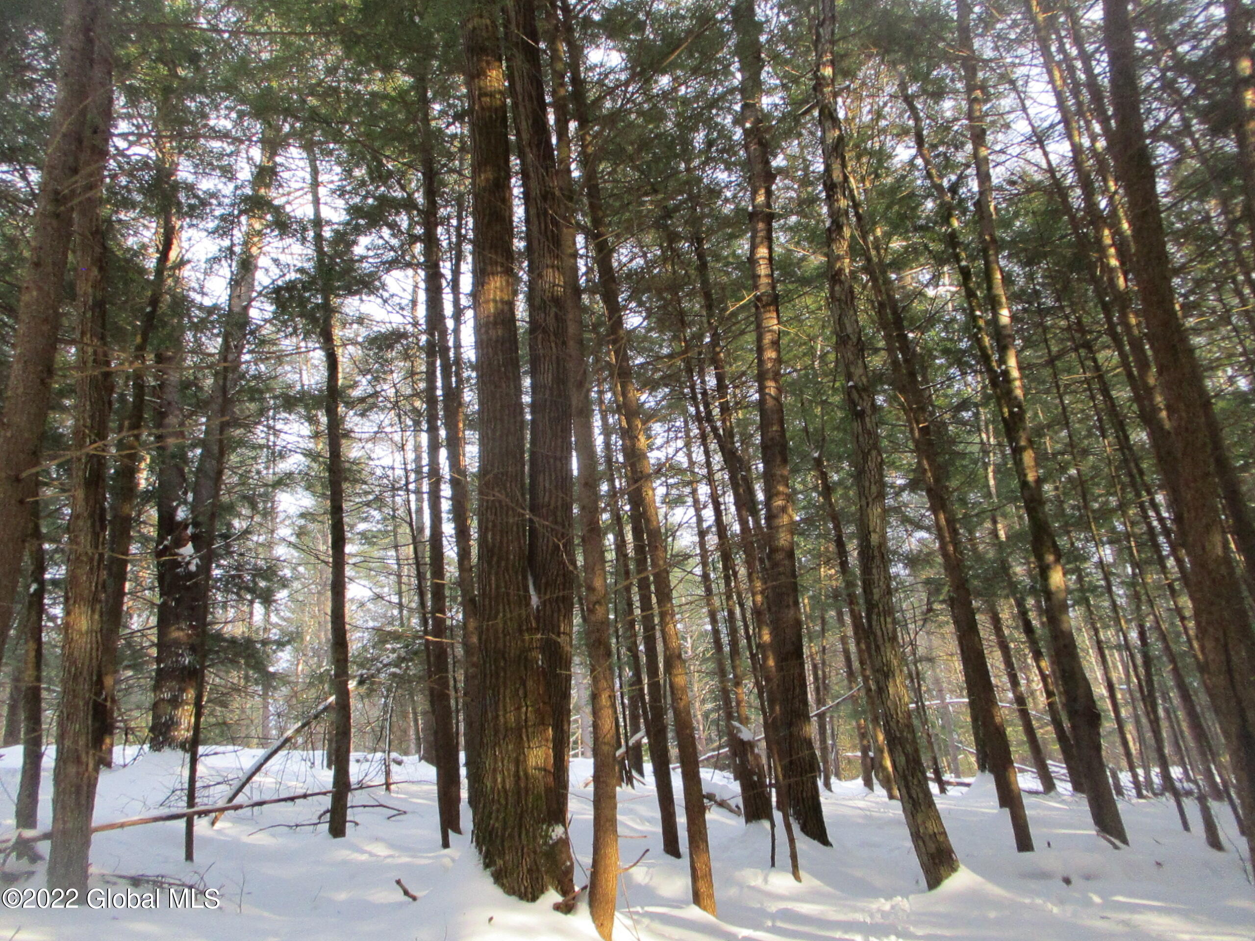 0 River Road Lake Luzerne, NY 12846 - Photo 5 of 32 07 Red Oak