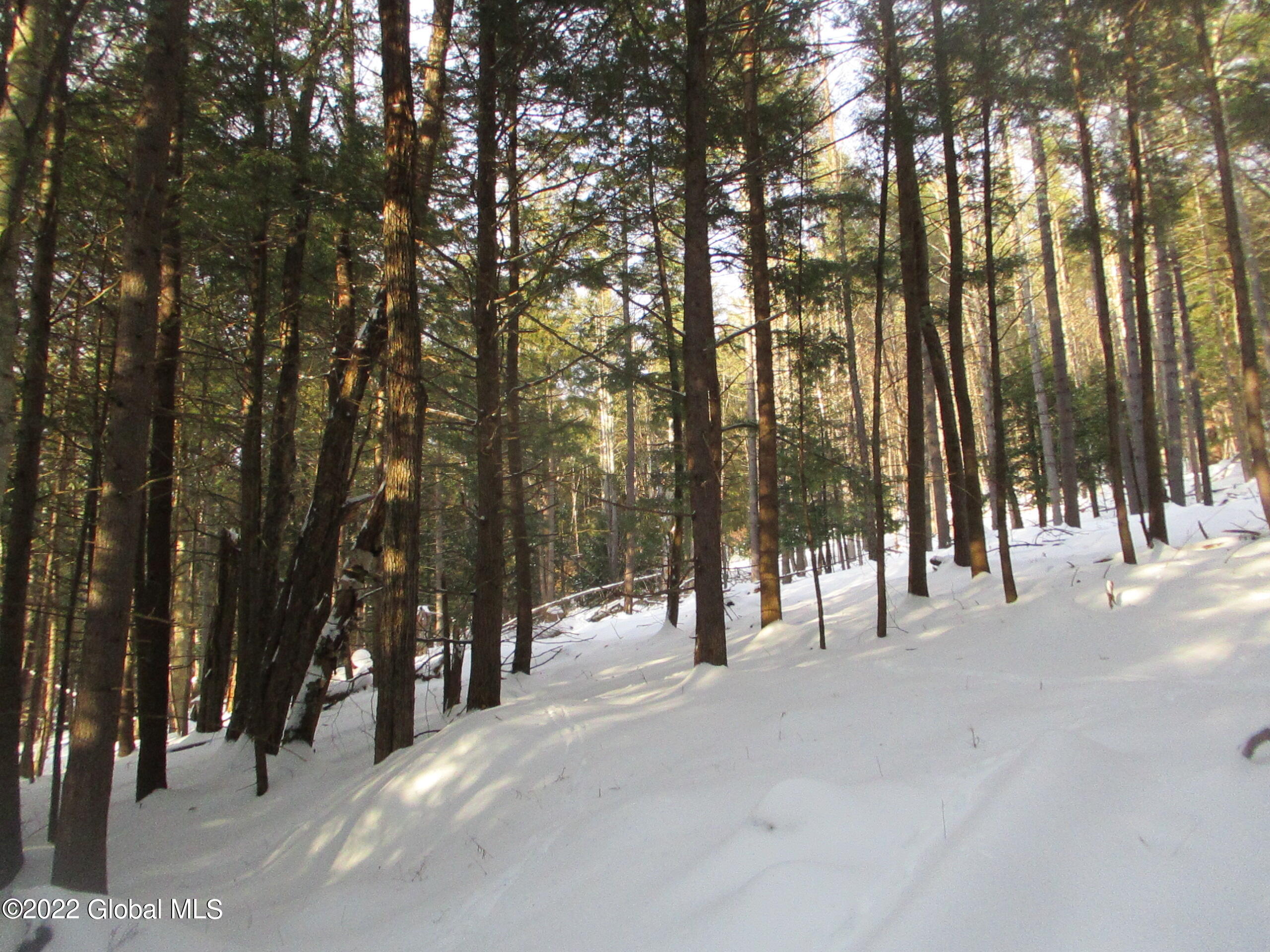 0 River Road Lake Luzerne, NY 12846 - Photo 7 of 32 09 Hemlock