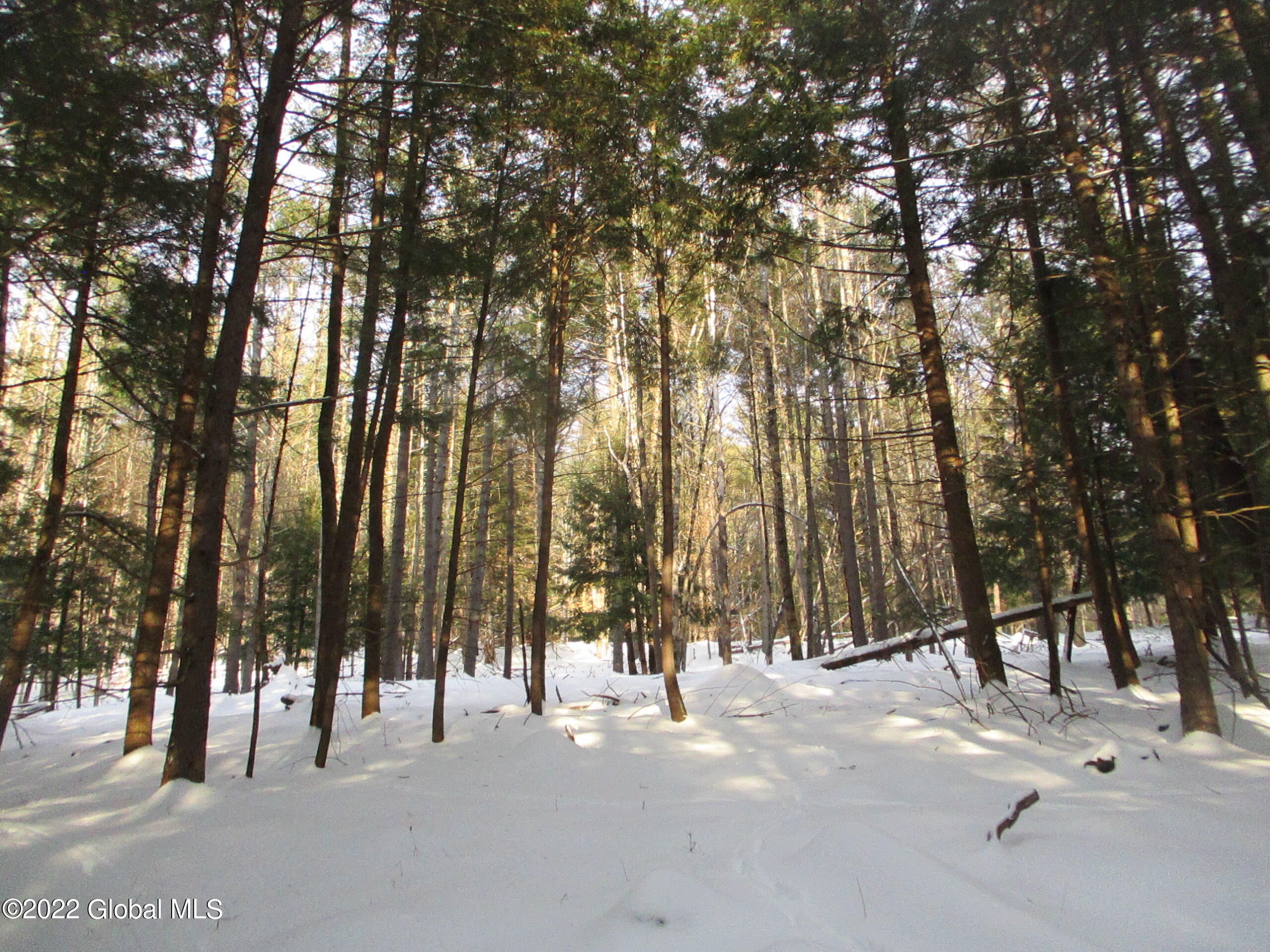 0 River Road Lake Luzerne, NY 12846 - Photo 8 of 32 10 Hemlock and Pine