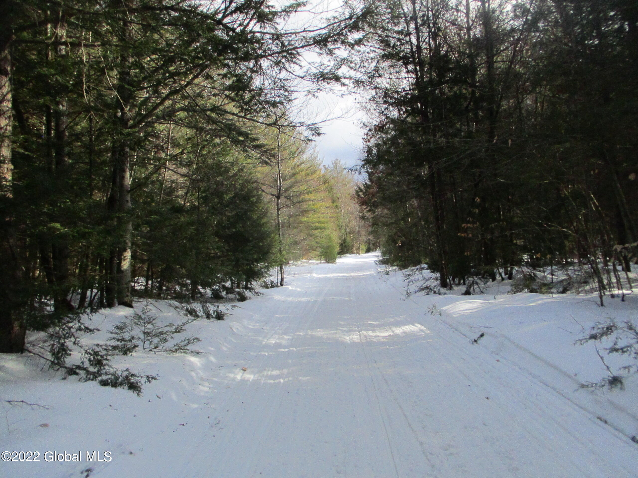 0 River Road Lake Luzerne, NY 12846 - Photo 9 of 32 14 Snowmobile Trail within the Property