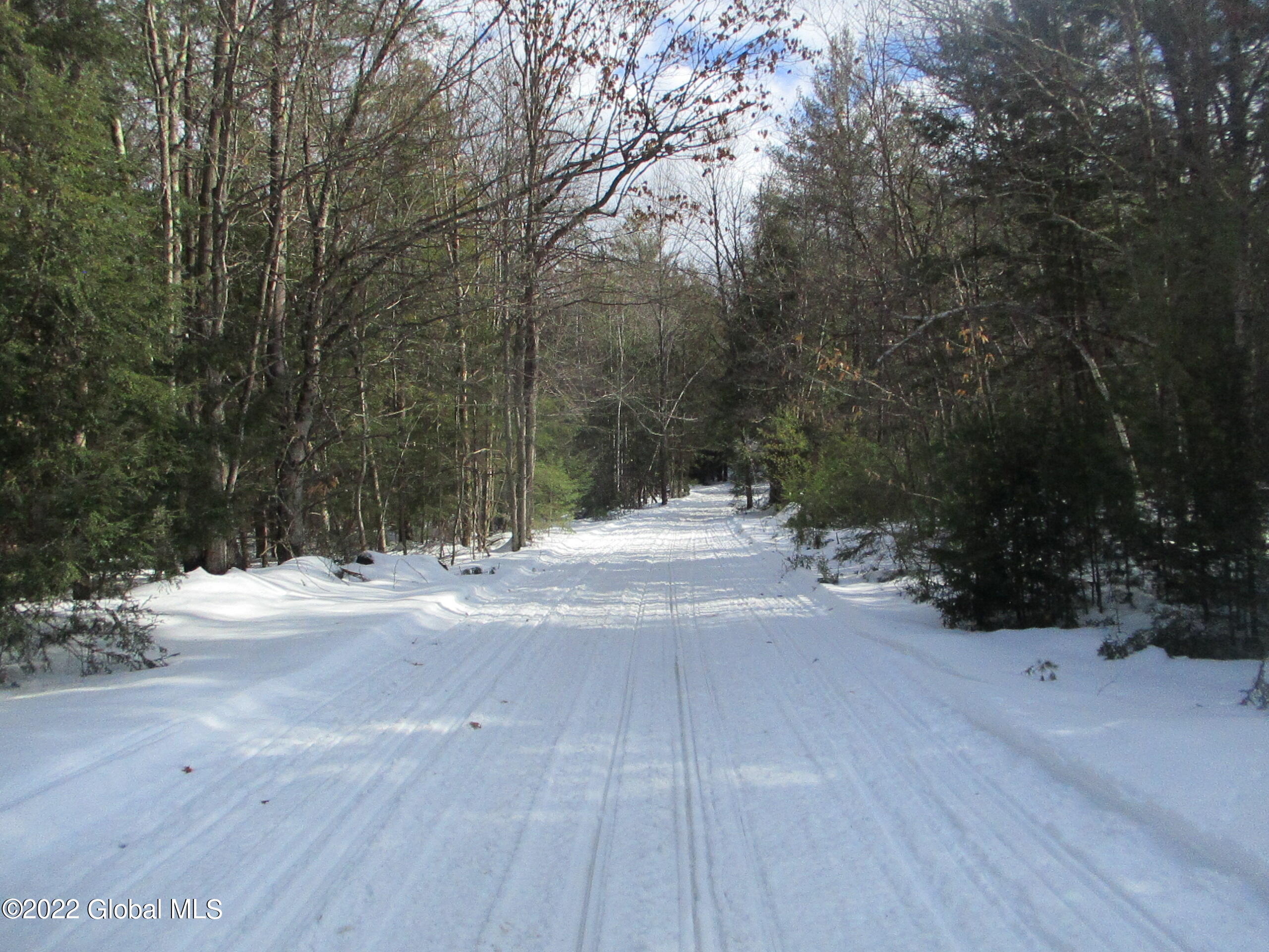 0 River Road Lake Luzerne, NY 12846 - Photo 10 of 32 15 Snowmobile Trail