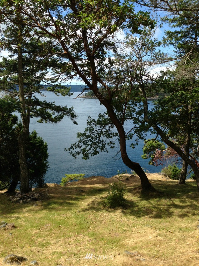 2237 Spring Point Road Orcas Island, WA 98245 - Photo 17 of 18