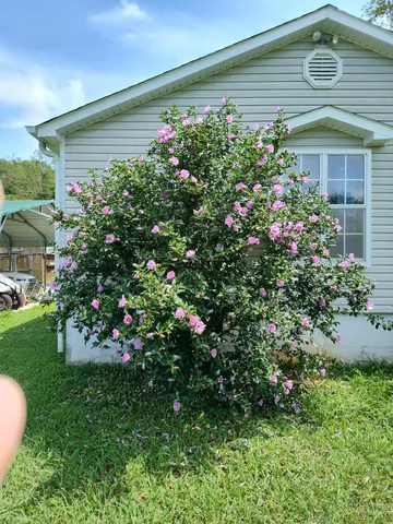 $309,000 | 3581 Highway 156, South Pittsburg, TN 37380