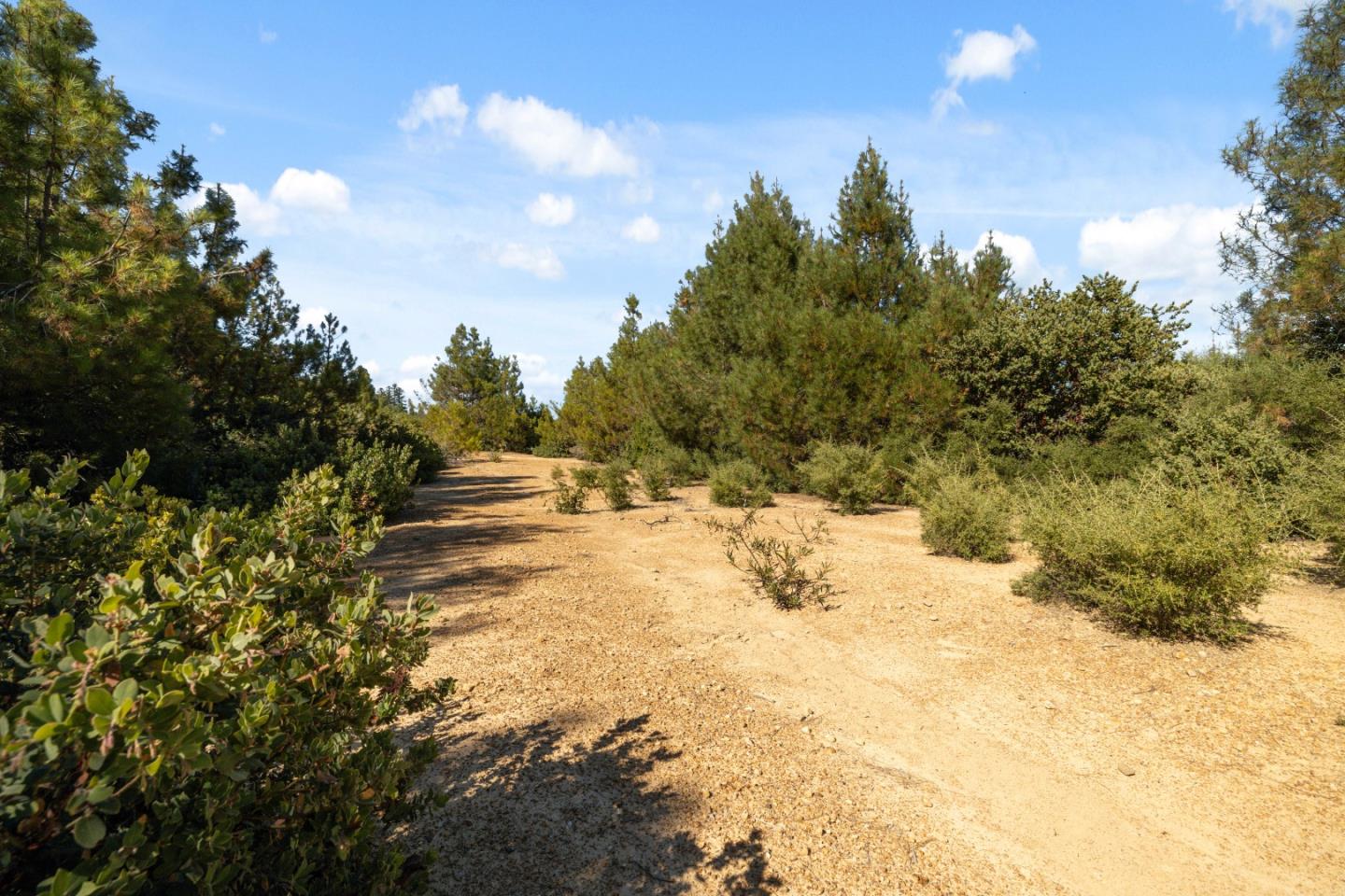 Lot 42 Summit Road Los Gatos, CA 95033 - Photo 11 of 18 a view of ocean view with large trees