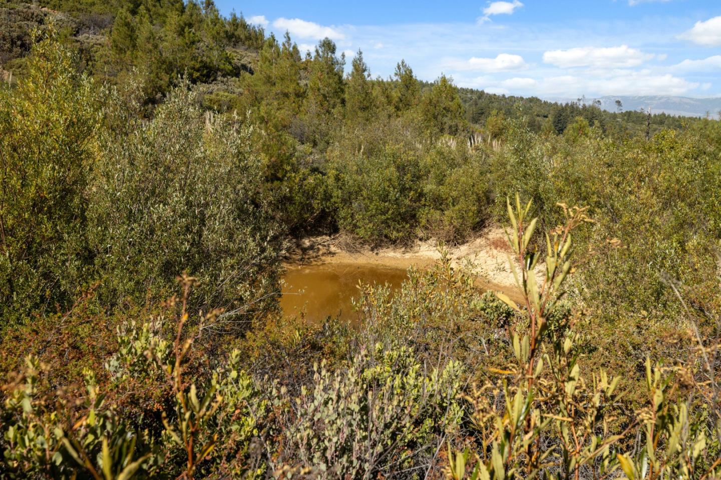 Lot 42 Summit Road Los Gatos, CA 95033 - Photo 14 of 18 a view of mountain view with lots of trees