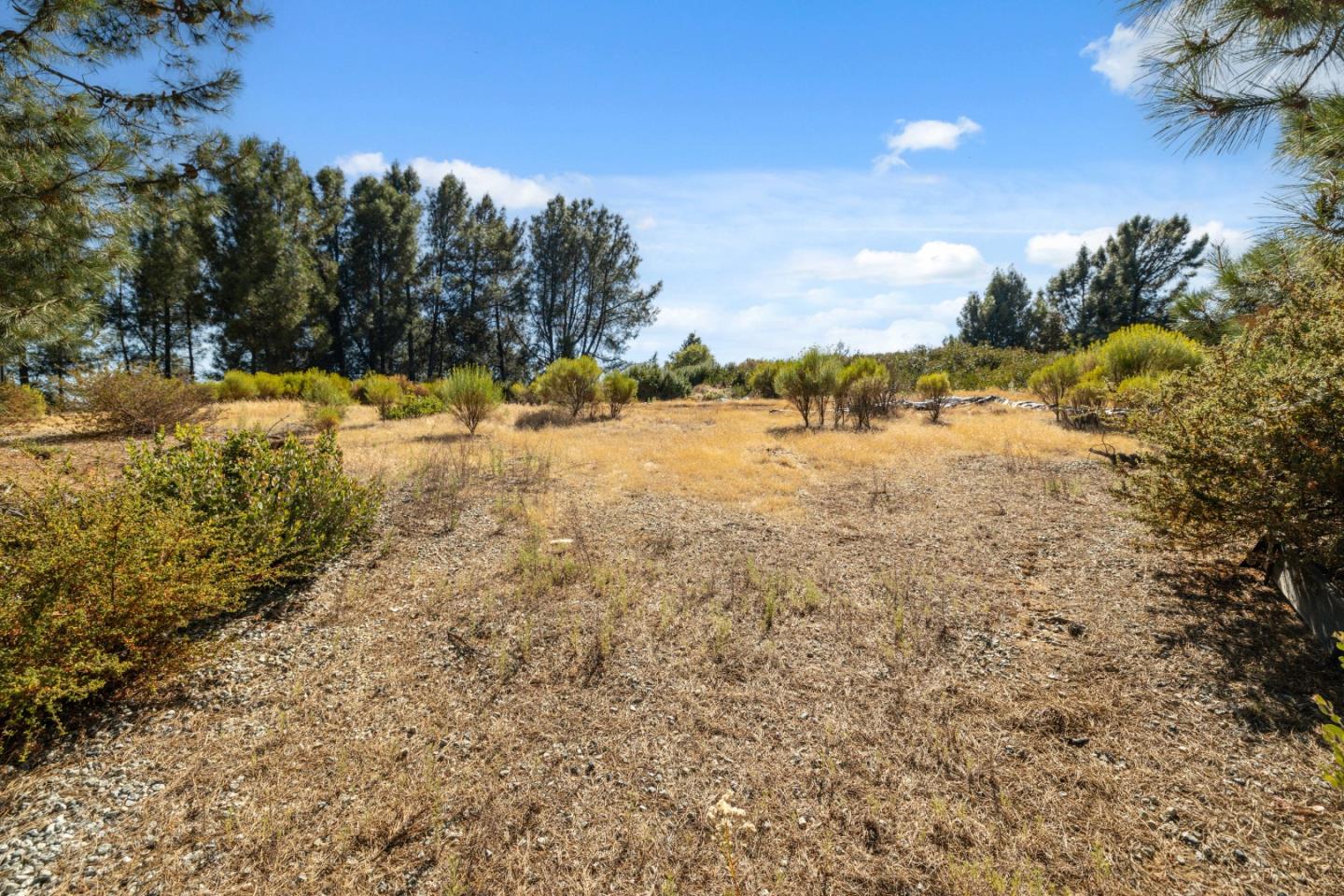 Lot 42 Summit Road Los Gatos, CA 95033 - Photo 2 of 18 a view of ocean view with lots of trees