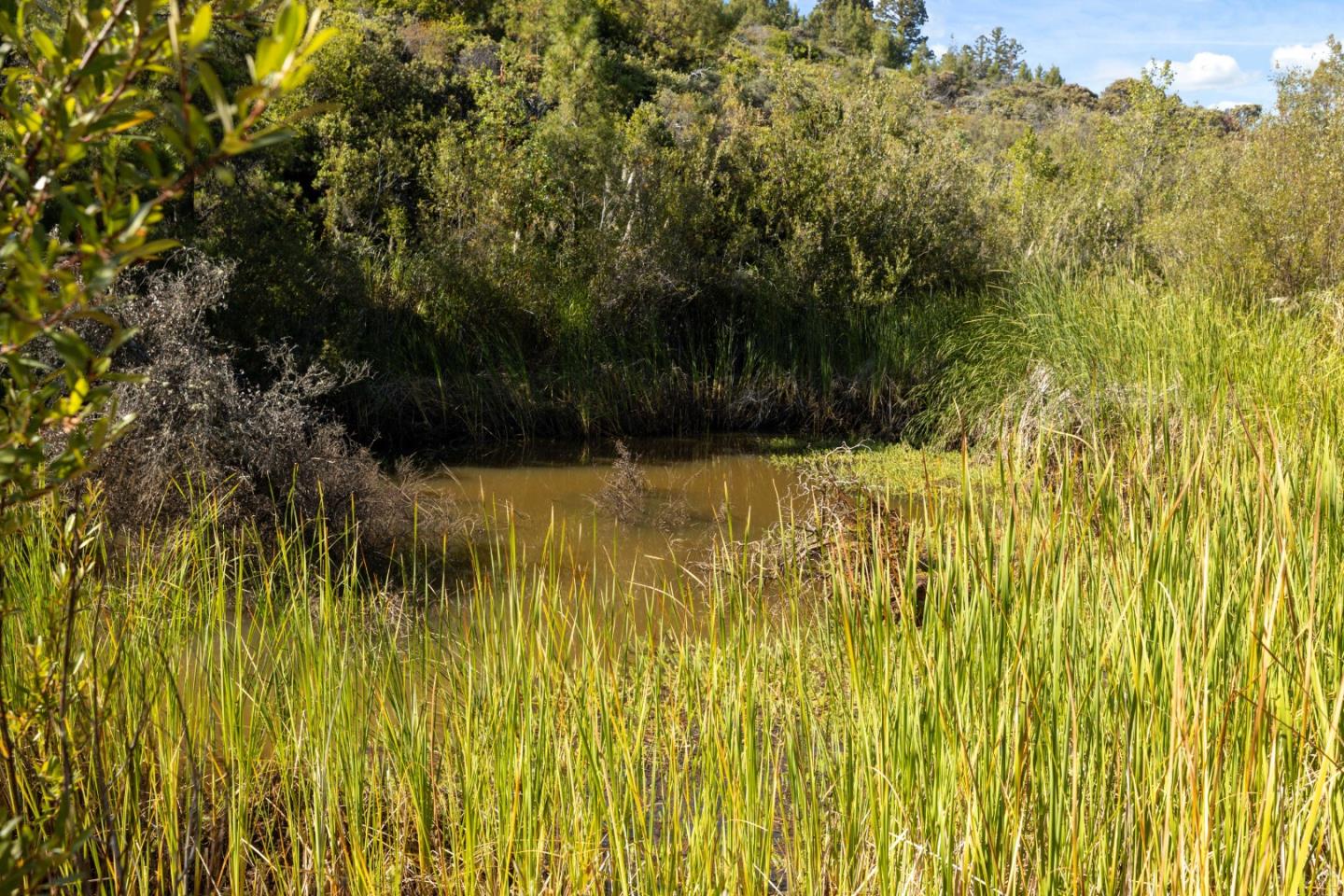 Lot 42 Summit Road Los Gatos, CA 95033 - Photo 5 of 18 a view of a lake view