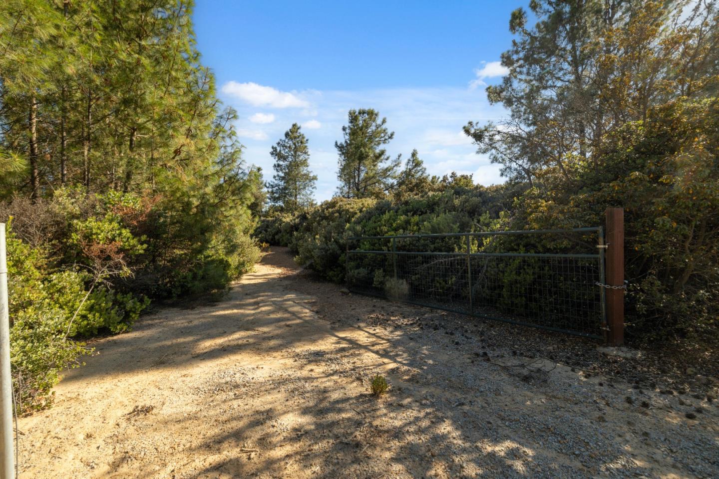 Lot 42 Summit Road Los Gatos, CA 95033 - Photo 6 of 18 a view of backyard with green space