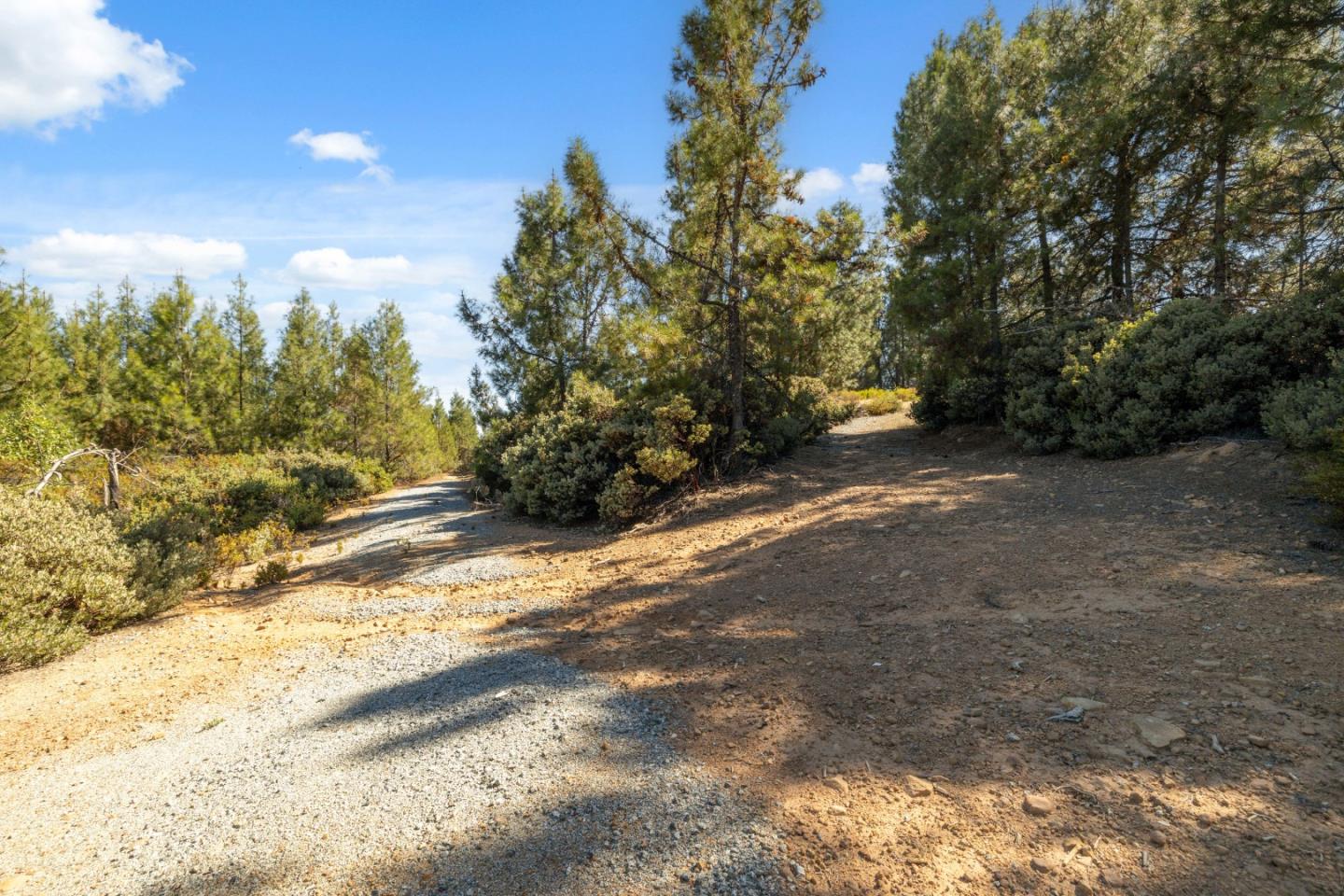 Lot 42 Summit Road Los Gatos, CA 95033 - Photo 8 of 18 a view of a yard with a tree