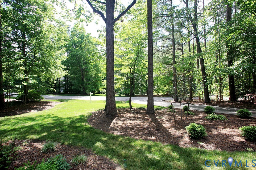 231 Hazelmere Drive Chesterfield, VA 23236 - Photo 25 of 33 a view of a backyard